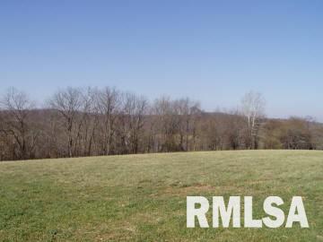 2 Old Cape Road Jonesboro, IL 62952 - Photo 1 of 6 Gallery Image 1