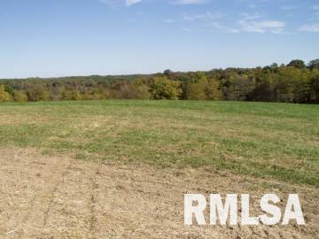 2 Old Cape Road Jonesboro, IL 62952 - Photo 4 of 6 Gallery Image 4