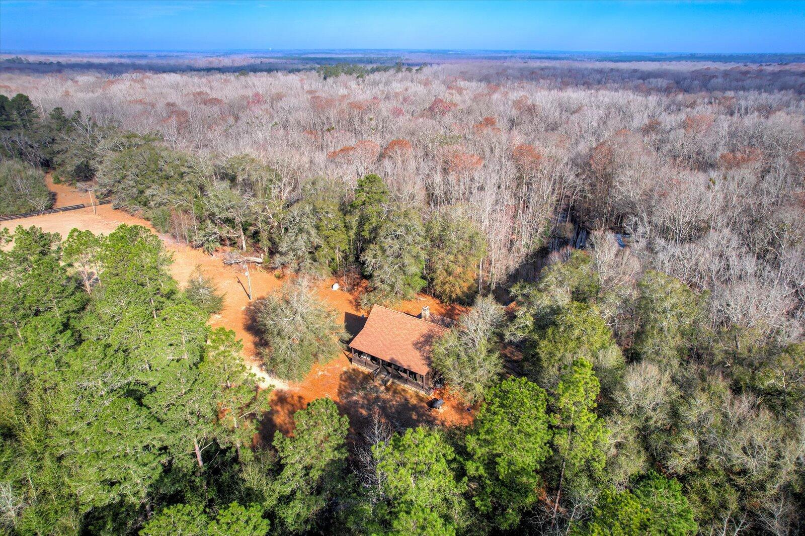 1114 Lott Bluff Road Blackville, SC 29817 - Photo 5 of 164