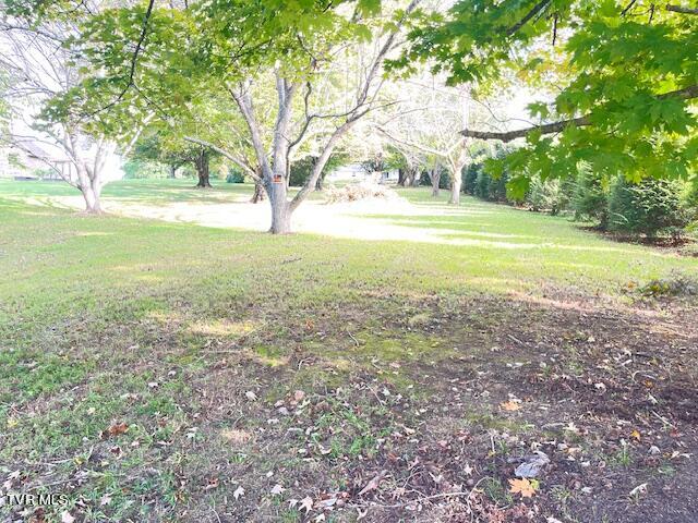 322 Max Jett Road Johnson City, TN 37601 - Photo 18 of 22 IMG_4543