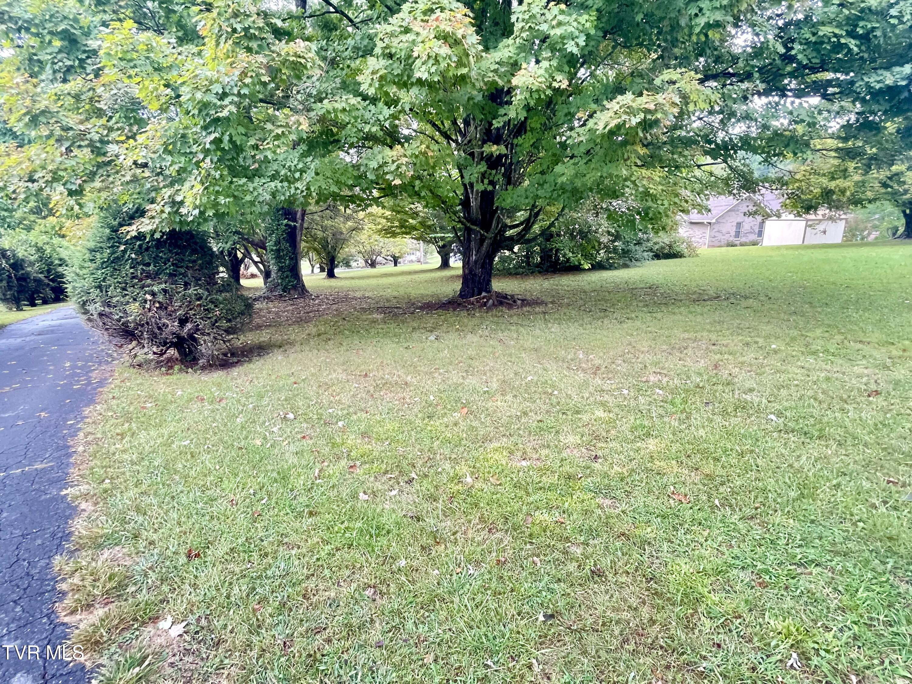 322 Max Jett Road Johnson City, TN 37601 - Photo 6 of 22 IMG_4505