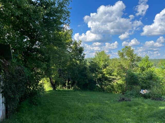 2485 Locust Grove Road Keavy, KY 40737 - Photo 19 of 22 IMG_8407