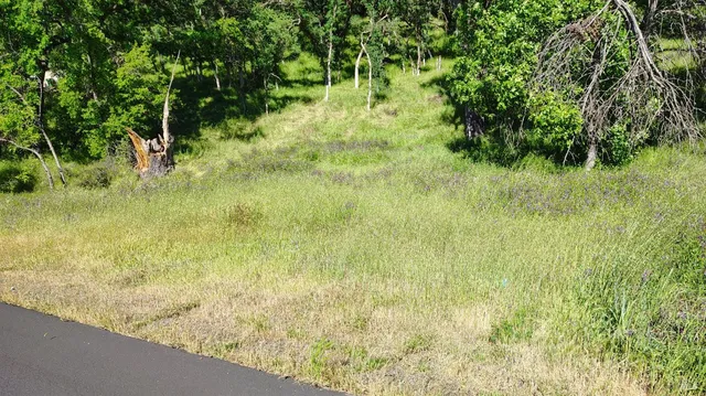 a view of ocean view with beach