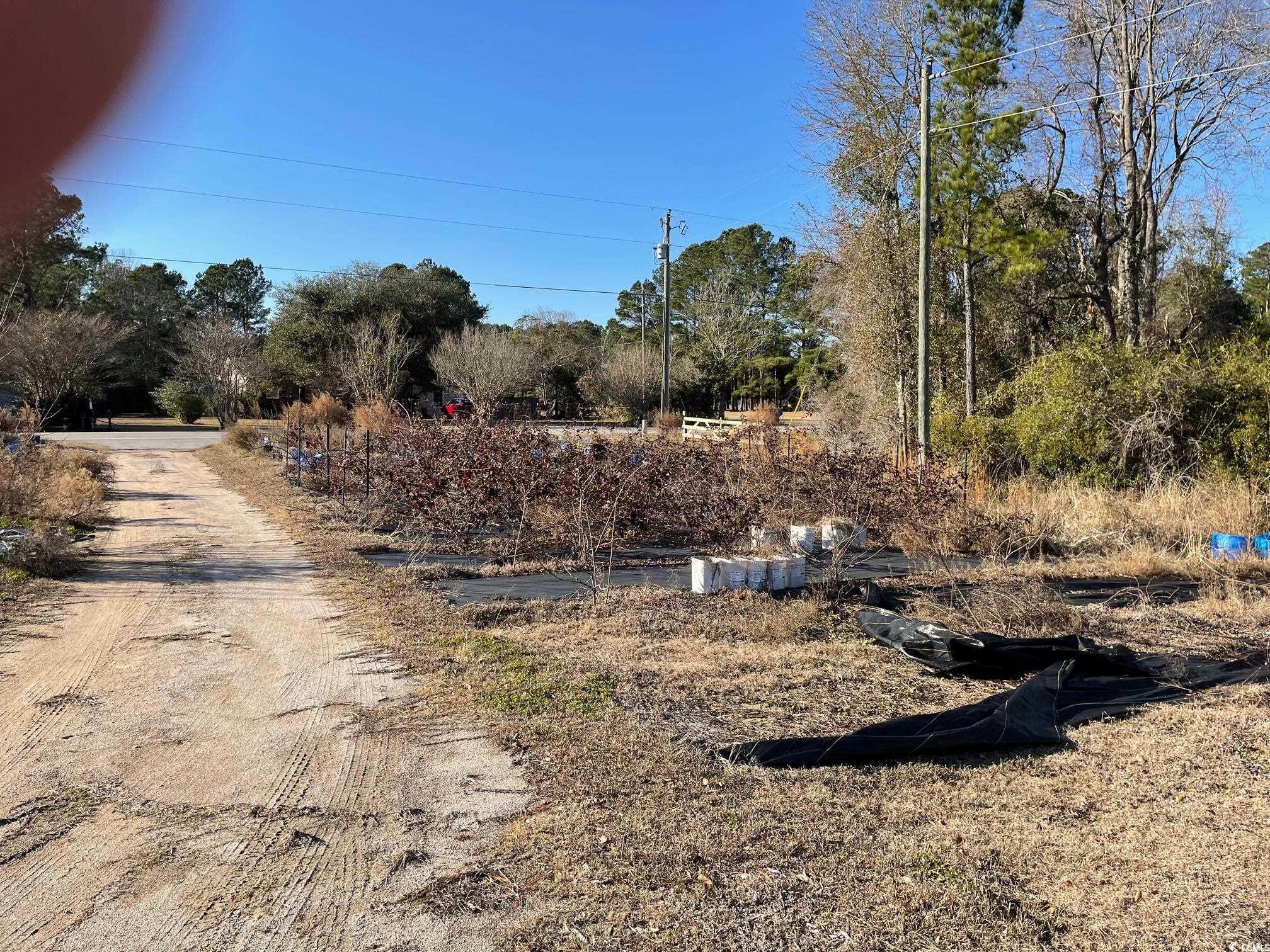 395 Highway 348 Loris, SC 29569 - Photo 3 of 7 Gallery Image 3