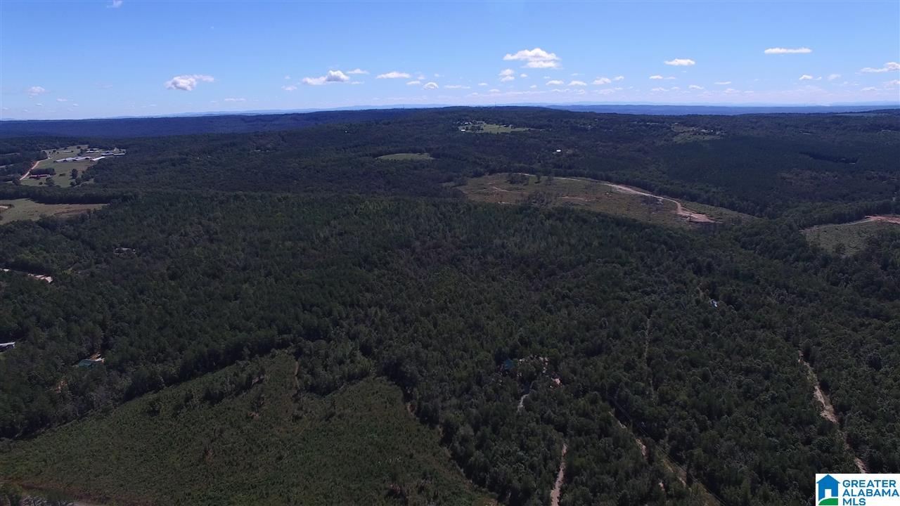0 Jackson Trail, Unit 140 ACRES Altoona, AL 35952 - Photo 8 of 50