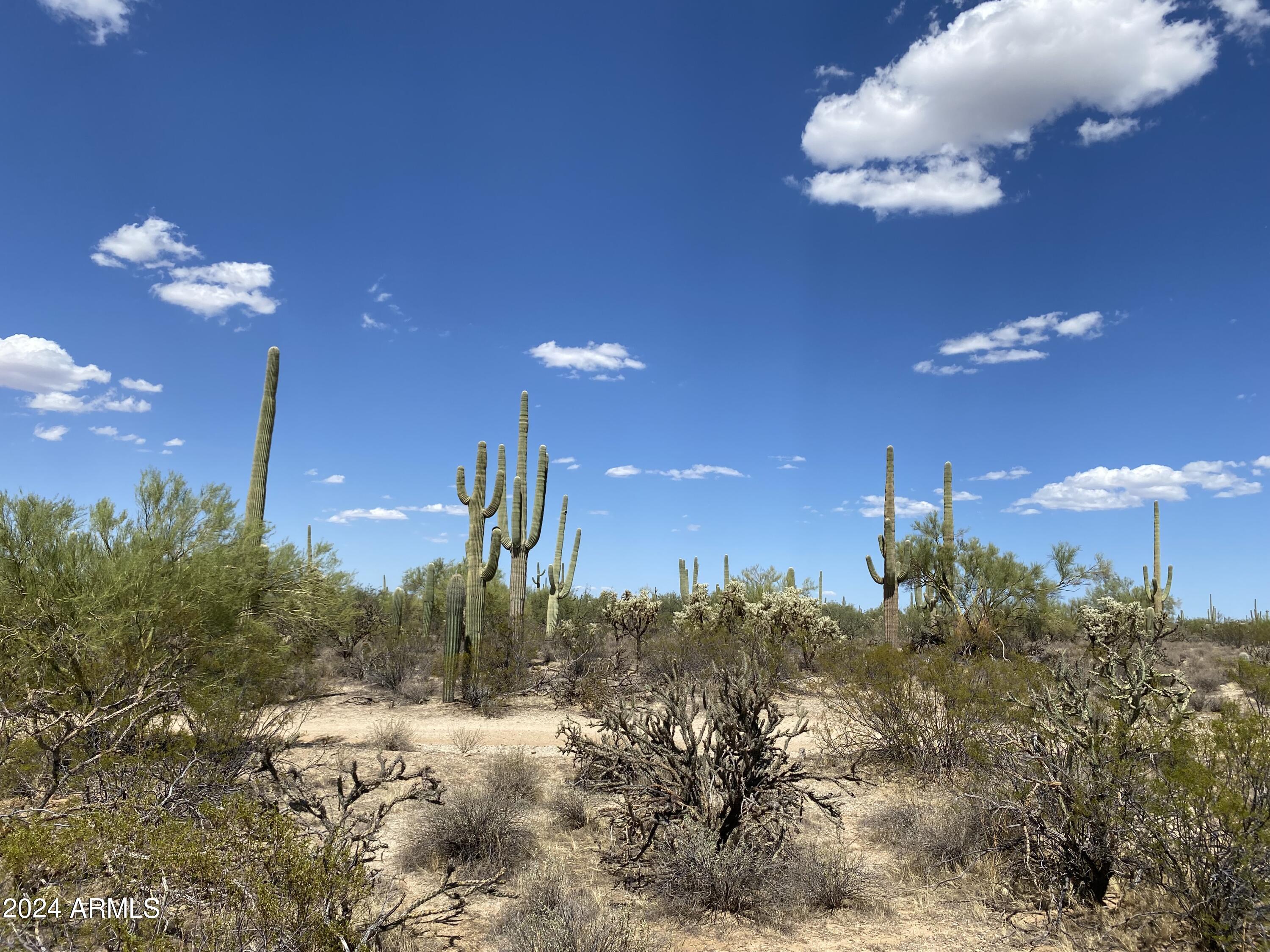 40-acres South Davis Ranch Road Marana, AZ 85658 - Photo 6 of 11 a view of a building with a yard