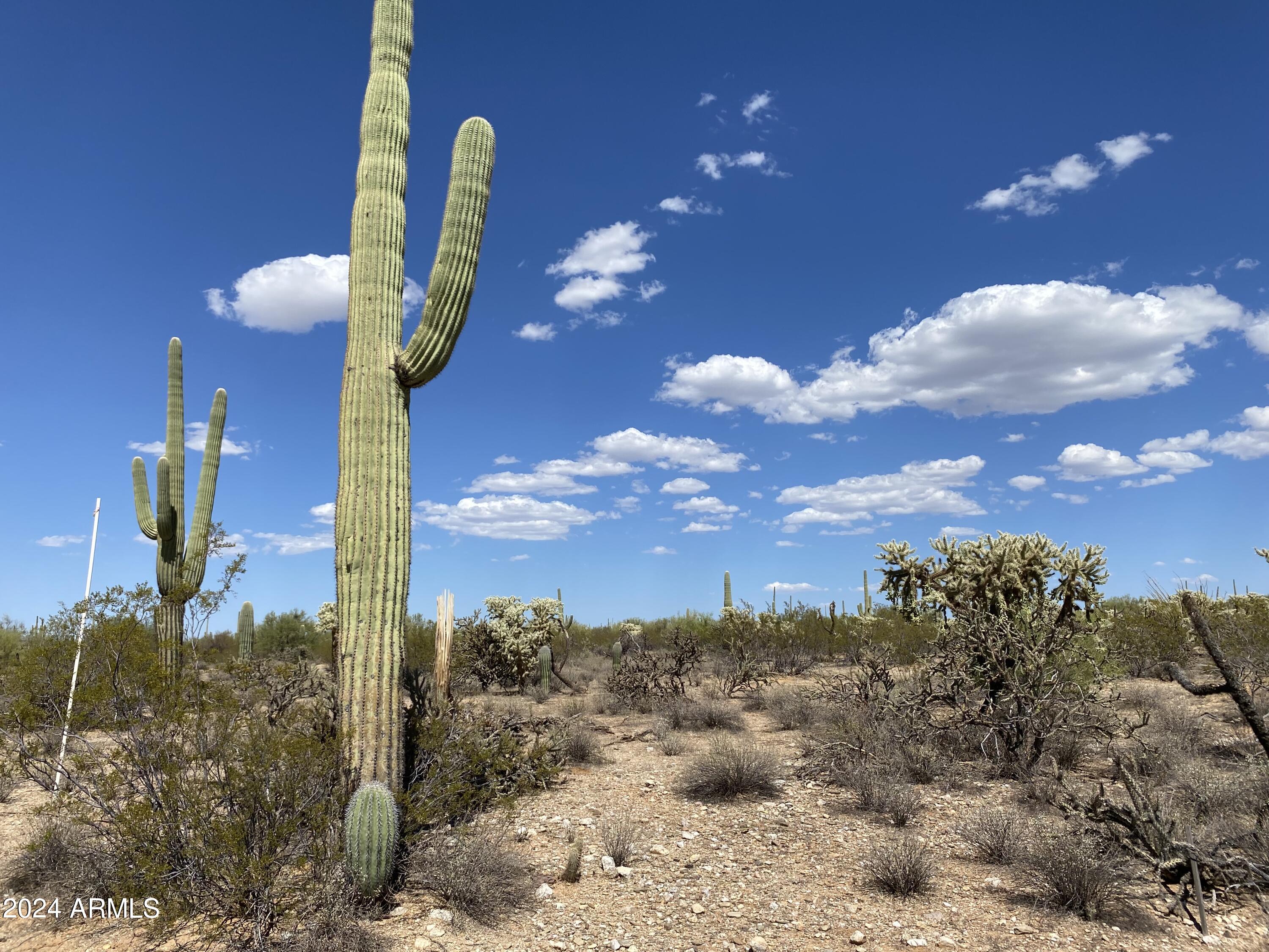 40-acres South Davis Ranch Road Marana, AZ 85658 - Photo 8 of 11 a view of a city