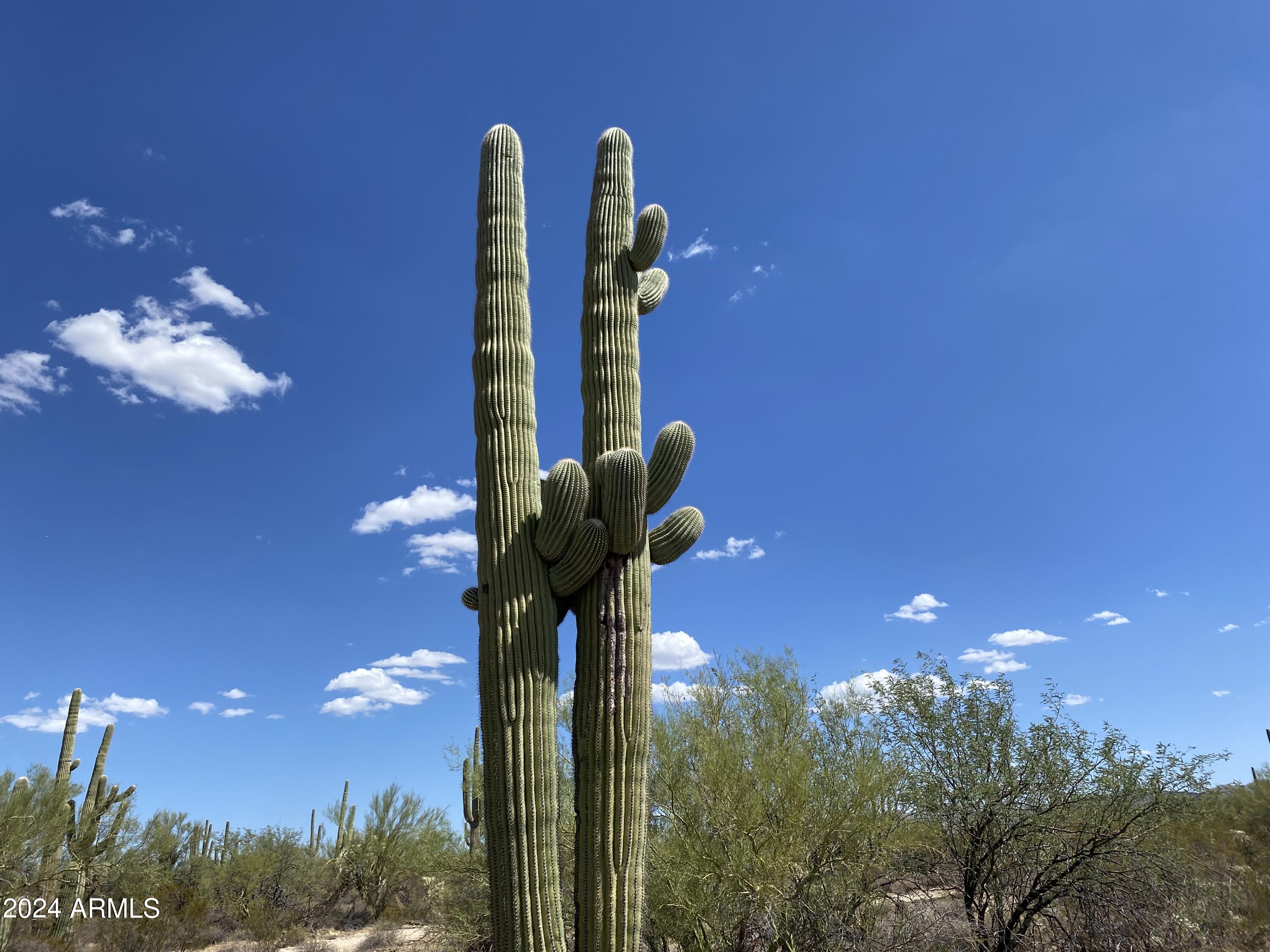 40-acres South Davis Ranch Road Marana, AZ 85658 - Photo 10 of 11 a close up of a light fixtures and a chandelier