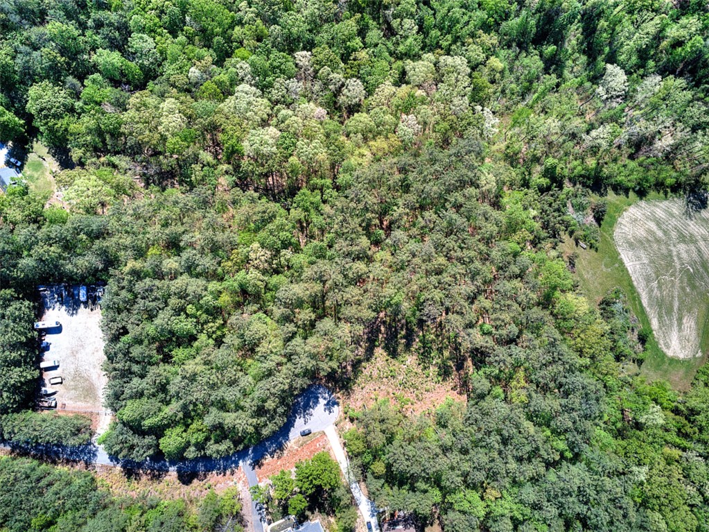 Lot E-29 Pine Ridge Way Salem, SC 29676 - Photo 8 of 11 An aerial view showcases a vibrant, expansive lot surrounded by lush, verdant trees and natural landscapes.