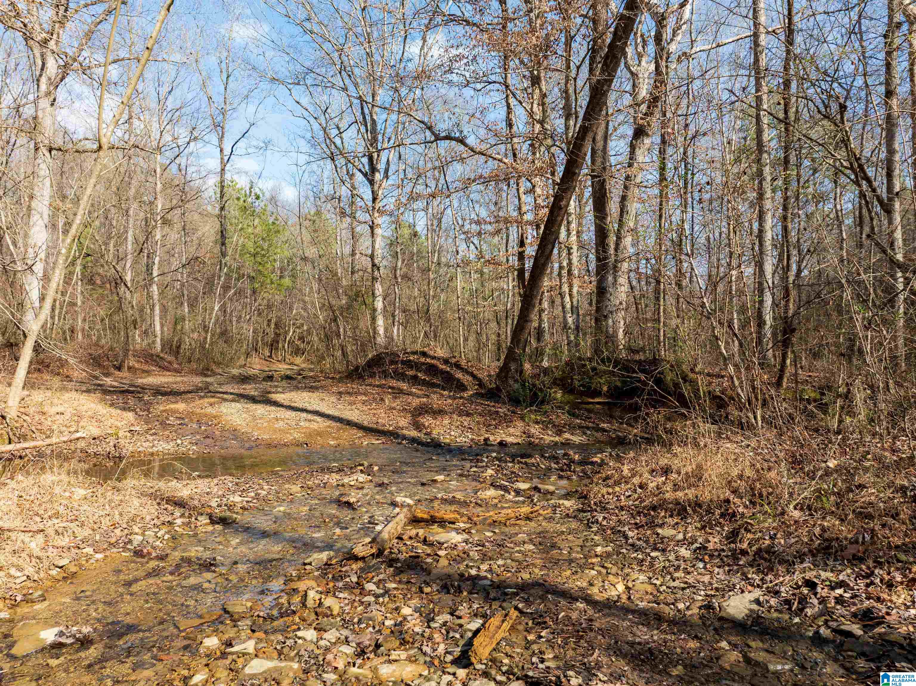 0 Red Hill Road, Unit 15 Oakman, AL 35579 - Photo 2 of 14