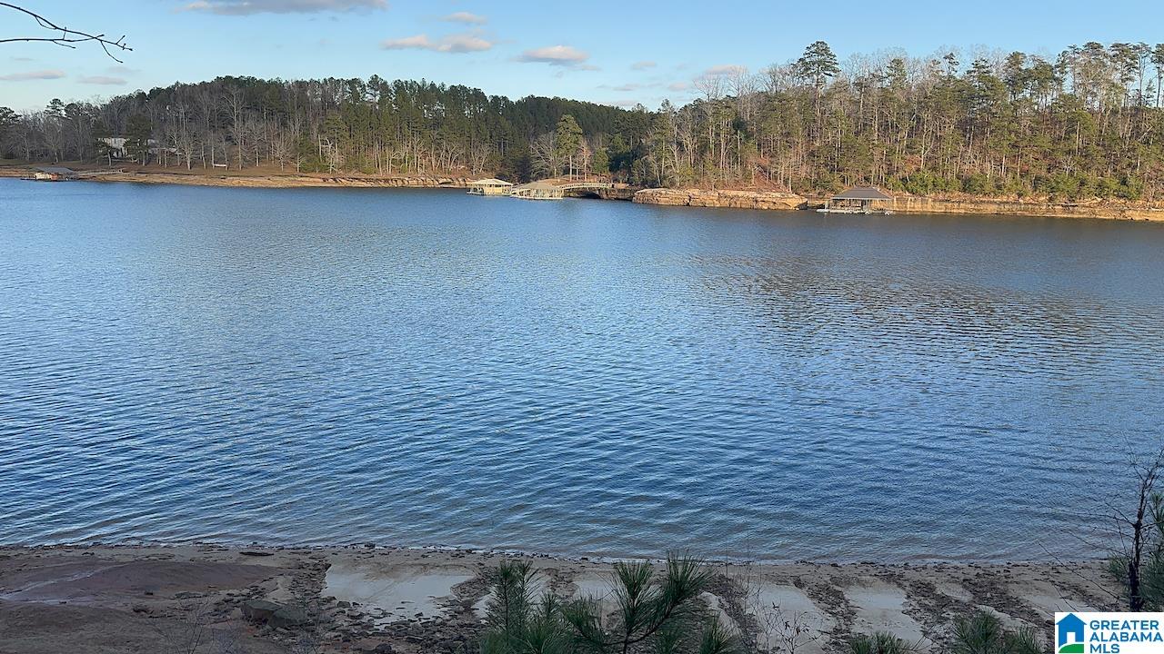 0 Edgewater Bend, Unit 29 Double Springs, AL 35553 - Photo 1 of 18