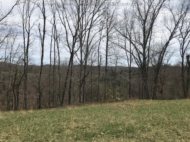 0 Links Way Ripley, WV 25271 - Photo 4 of 10 Gallery Image 4