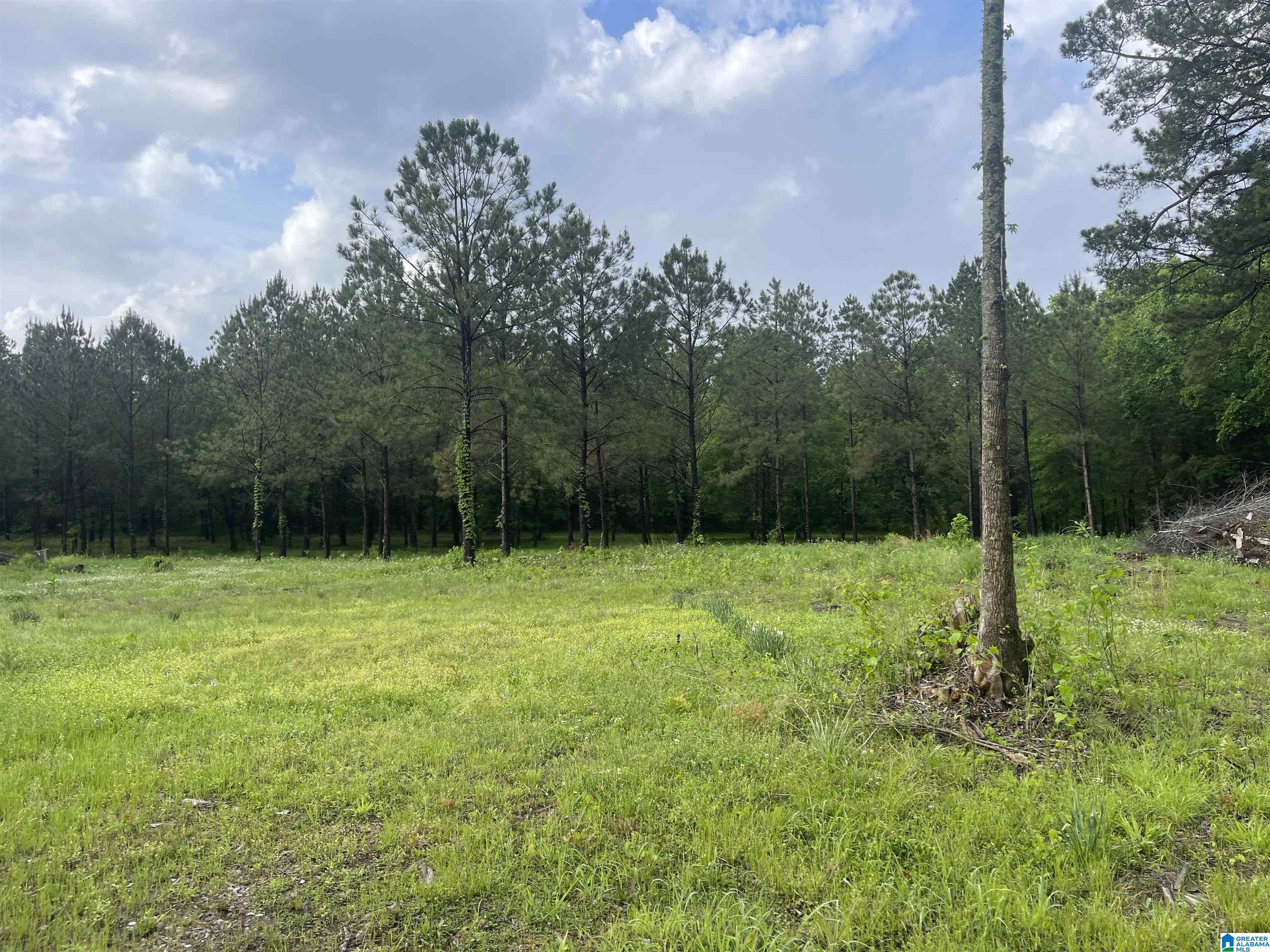 2760 Mitchellville Road, Unit 2 75 Lincoln, AL 35096 - Photo 8 of 11