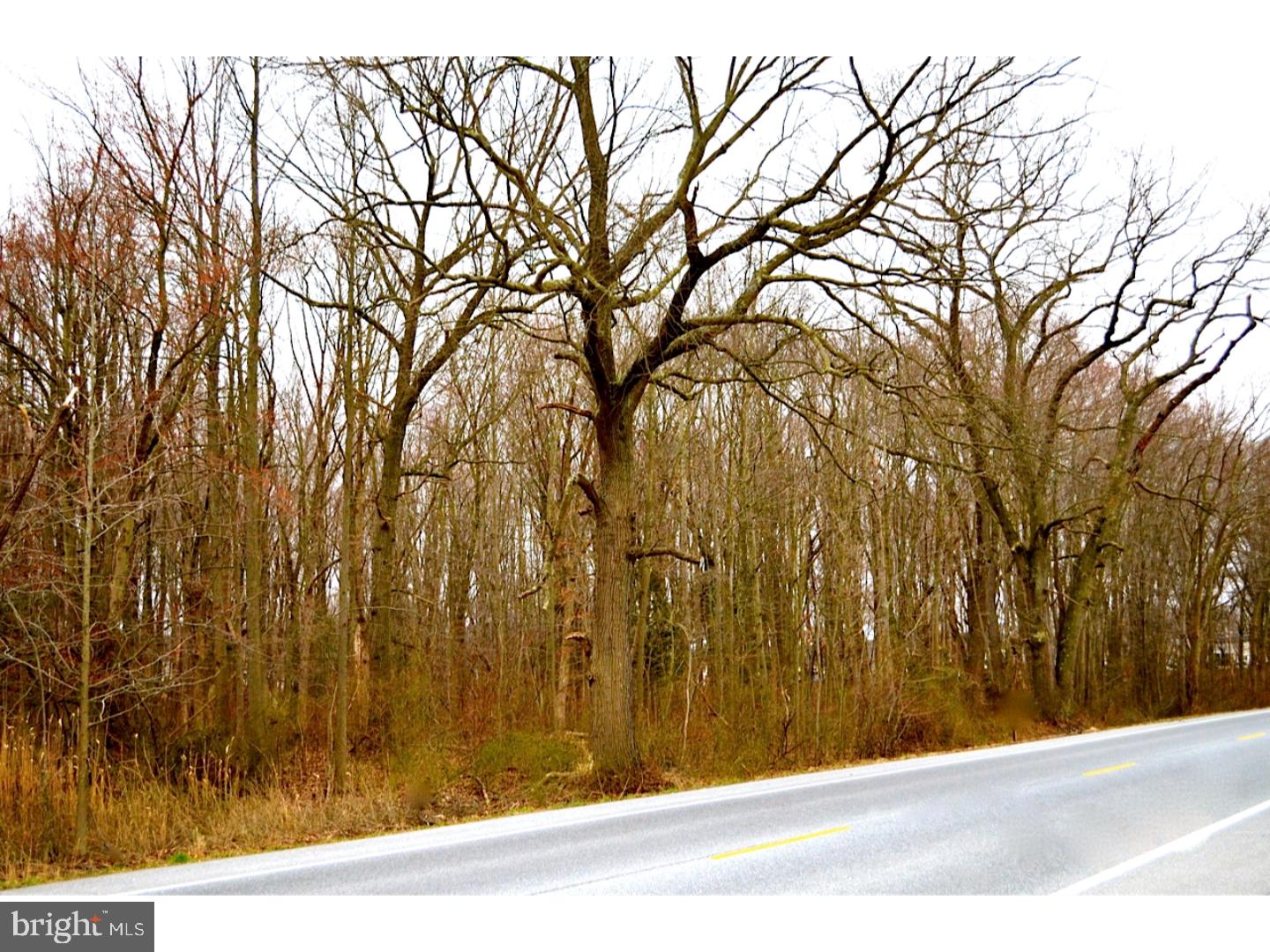 126 Pine Tree Road Townsend, DE 19734 - Photo 1 of 1 Gallery Image 1