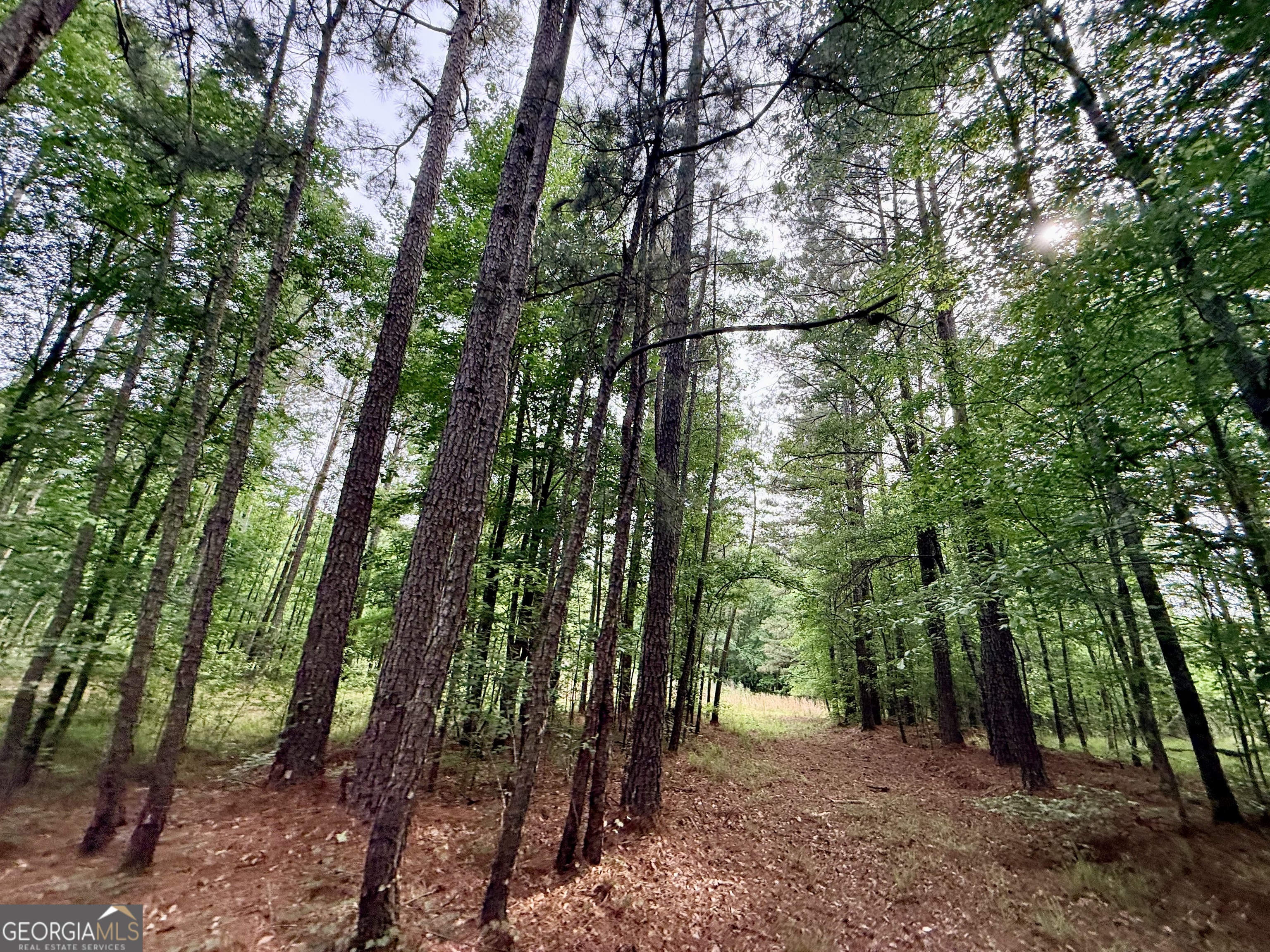 715 Fulsome Creek Road Sparta, GA 31087 - Photo 80 of 117