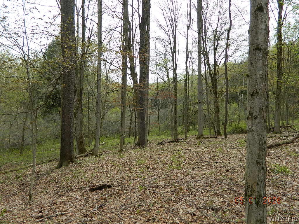 9999 Olean Road Holland, NY 14080 - Photo 14 of 28