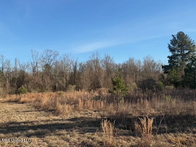 Raymond Road Jackson, MS 39212 - Photo 58 of 86 IMG_1063