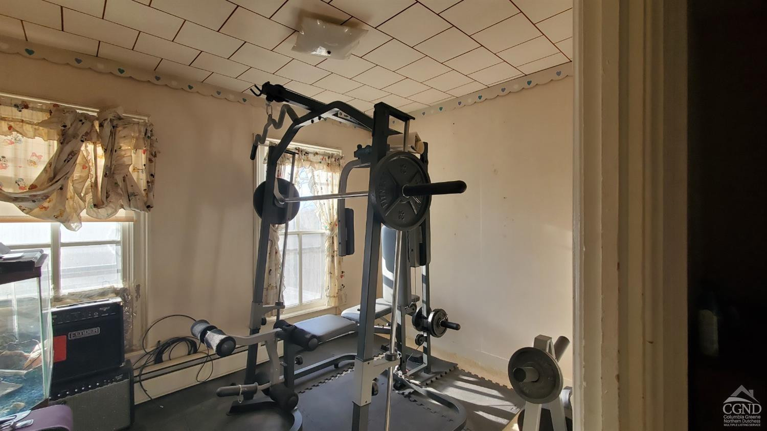 109 Summit Avenue Catskill, NY 12414 - Photo 8 of 12 a view of a room with gym equipment