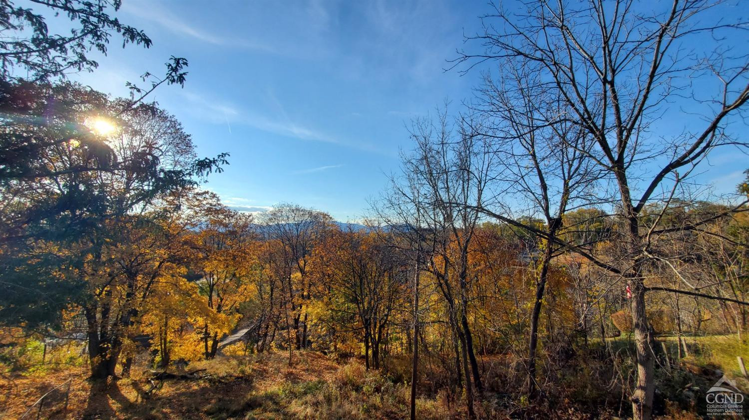 109 Summit Avenue Catskill, NY 12414 - Photo 10 of 12 a view of a yard with a tree