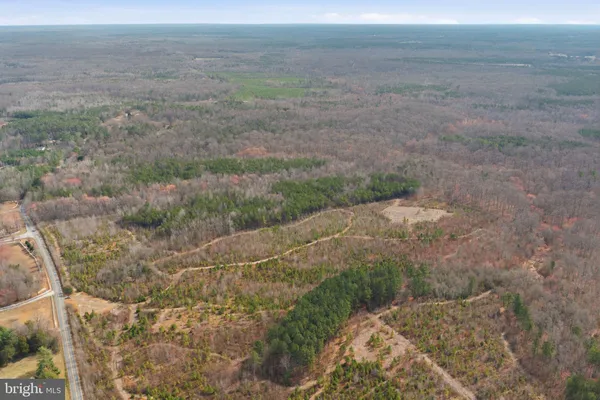 a view of a dry yard with trees