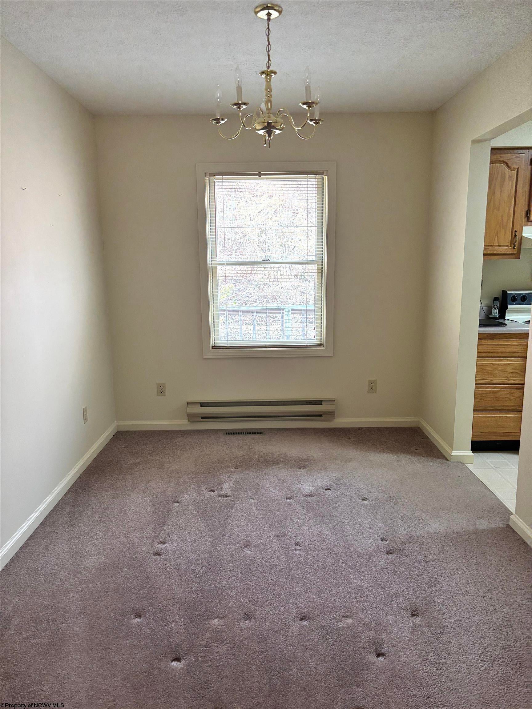 181 Co Rte 14/1 Elkins, WV 26241 - Photo 5 of 19 Gallery Image 5