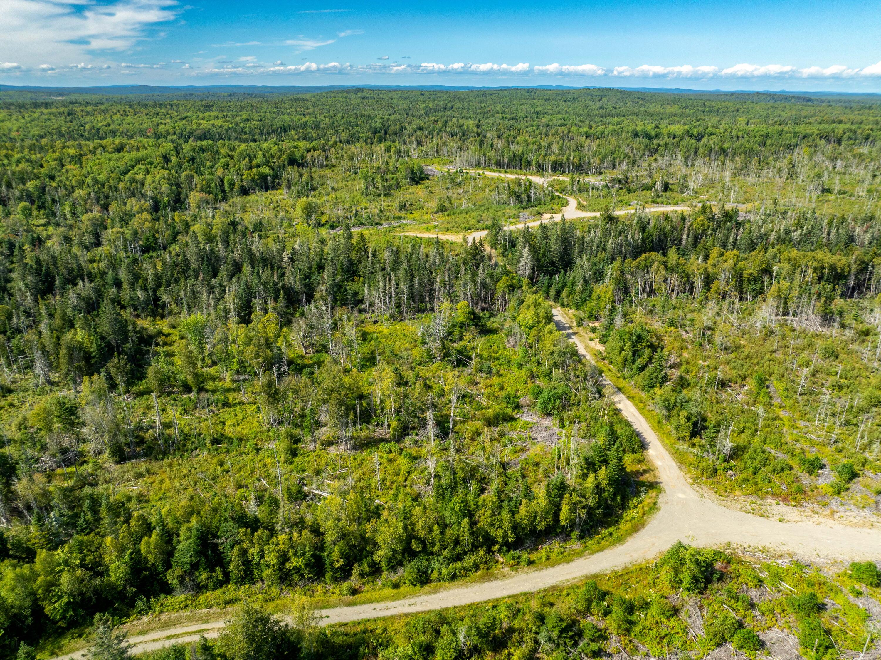 2 Map Lubec, ME 04652 - Photo 10 of 79 530+- acres Trescott Twp Maine (45 of 80