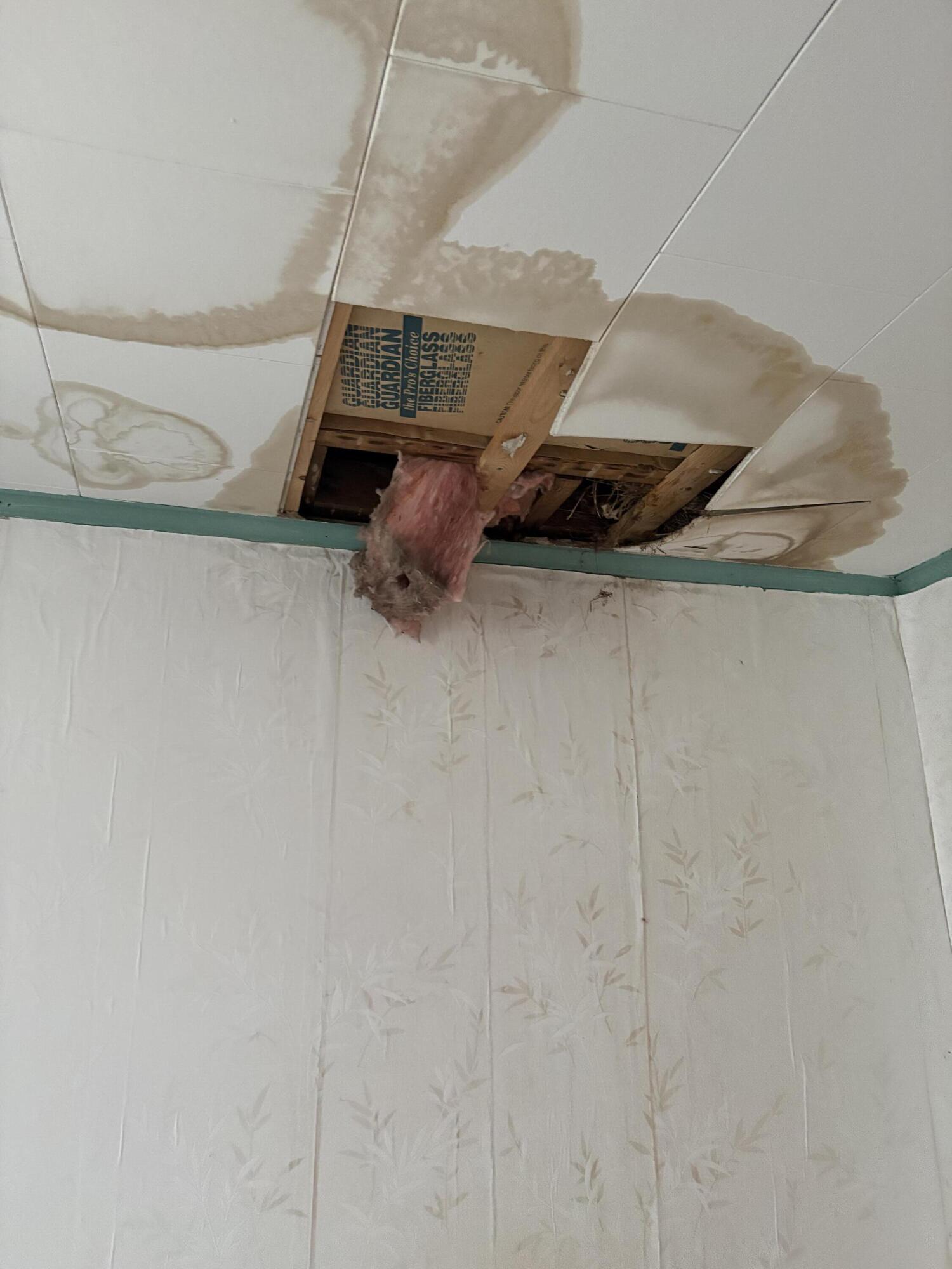 51 State Street Presque Isle, ME 04769 - Photo 23 of 24 State Street