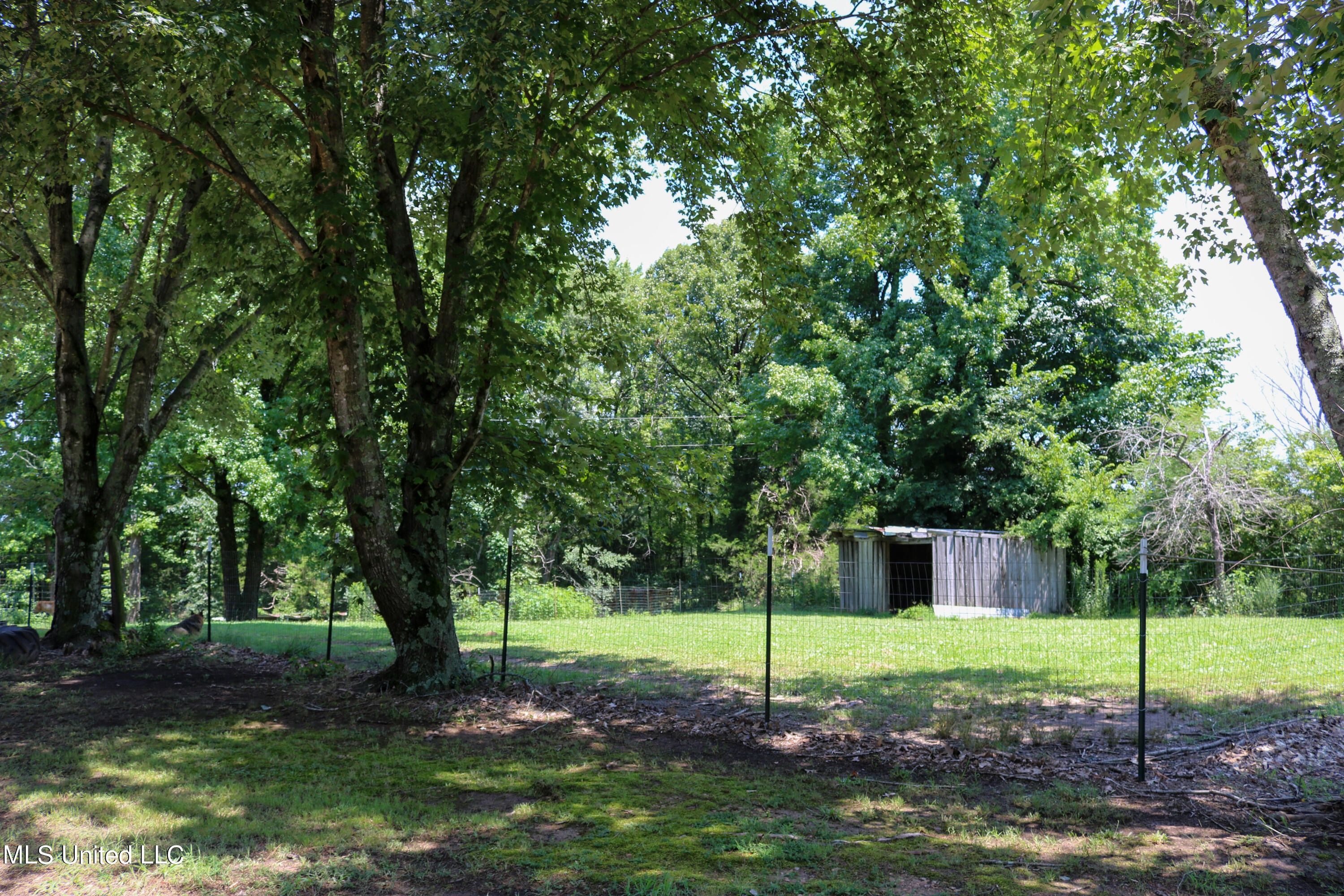 4768 North Crockett Road Sarah, MS 38665 - Photo 5 of 51 4768 N Crockett Road-05