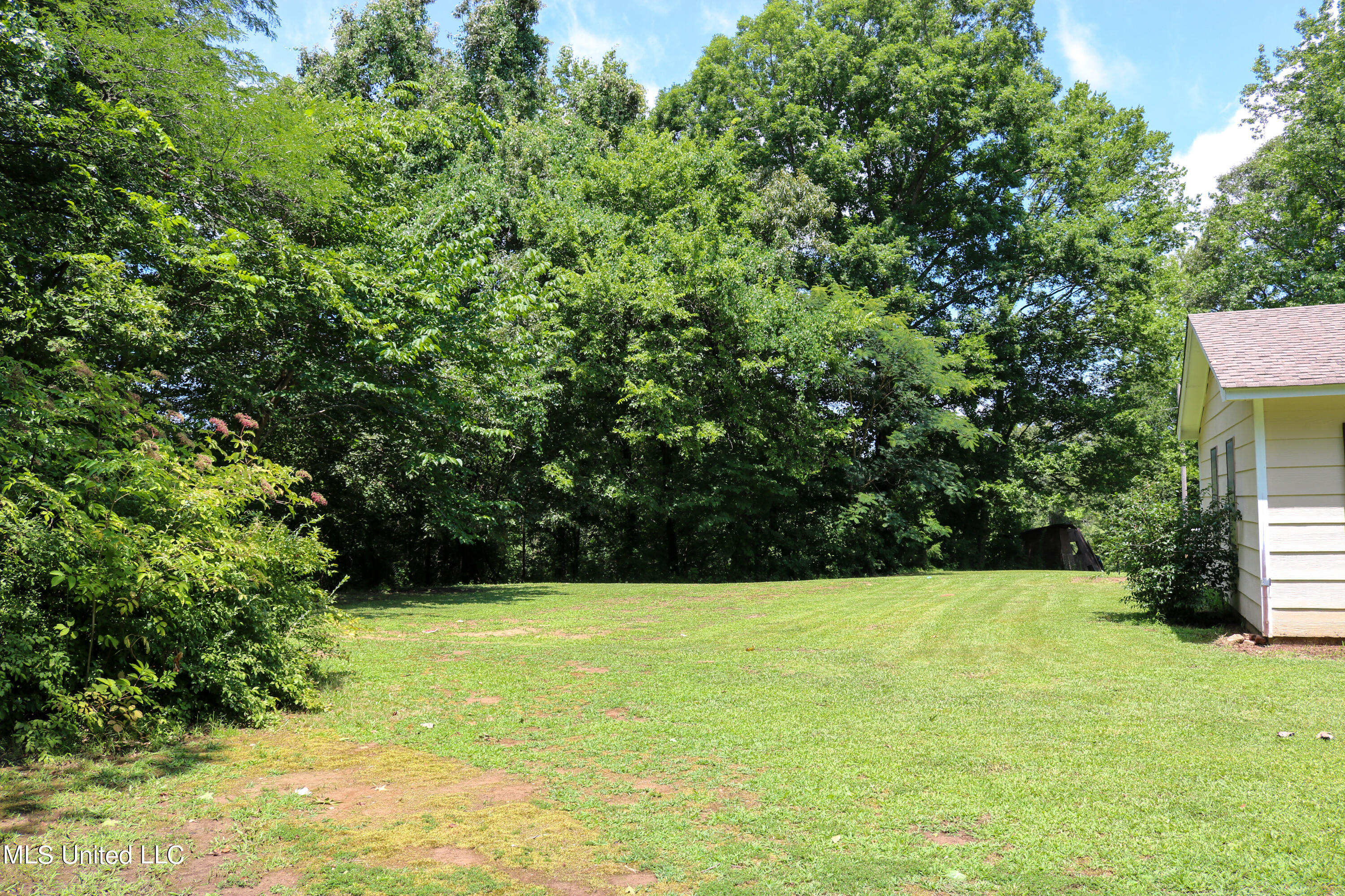 4768 North Crockett Road Sarah, MS 38665 - Photo 6 of 51 4768 N Crockett Road-06