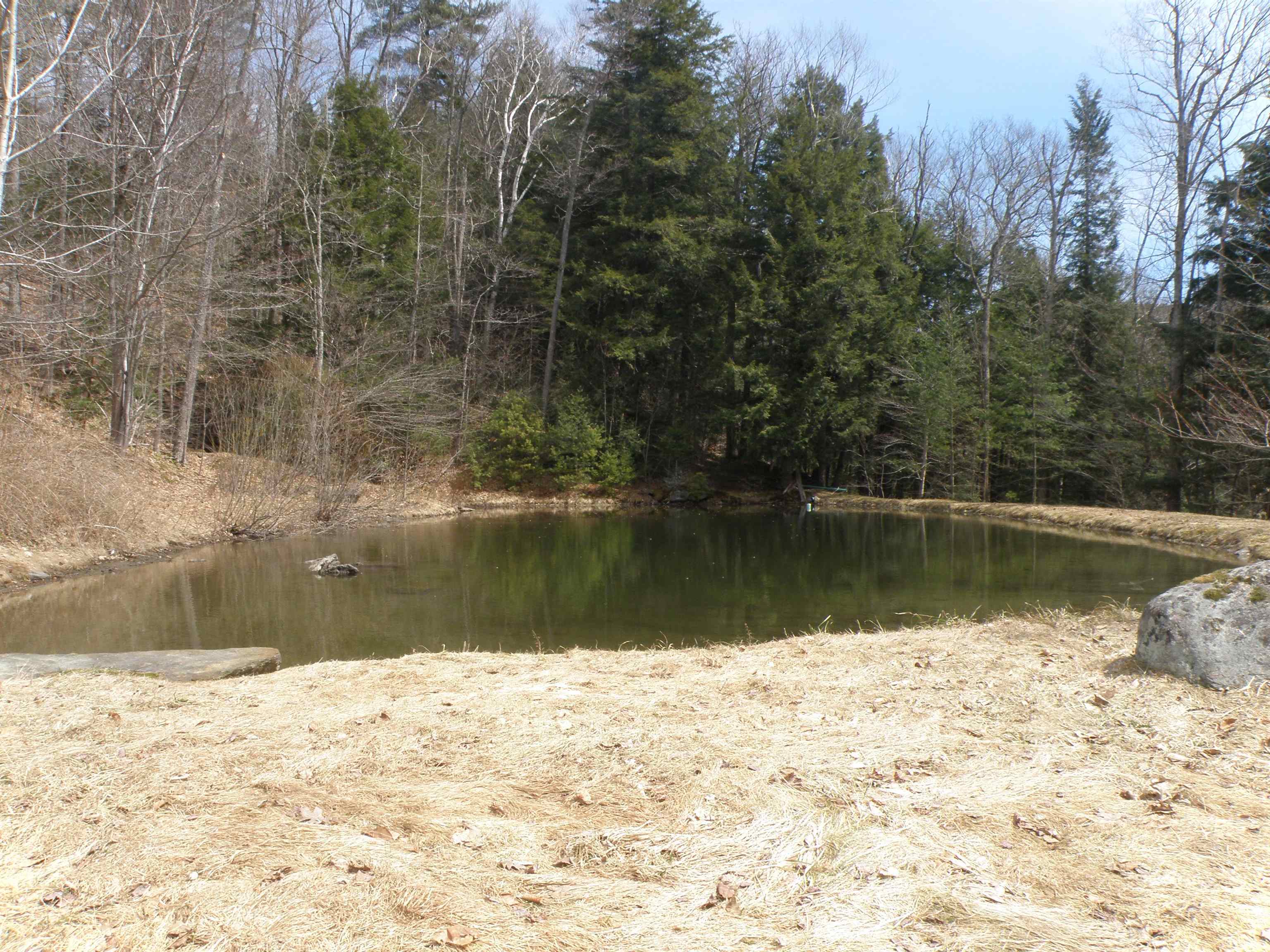 3730 Vermont Rte 100 Wardsboro, VT 05355 - Photo 4 of 19