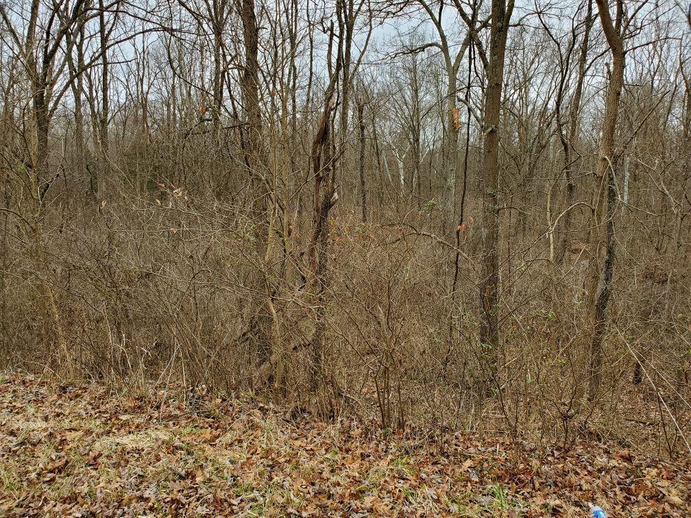 0 East Bailey Chapel Road Piketon, OH 45661 - Photo 3 of 4