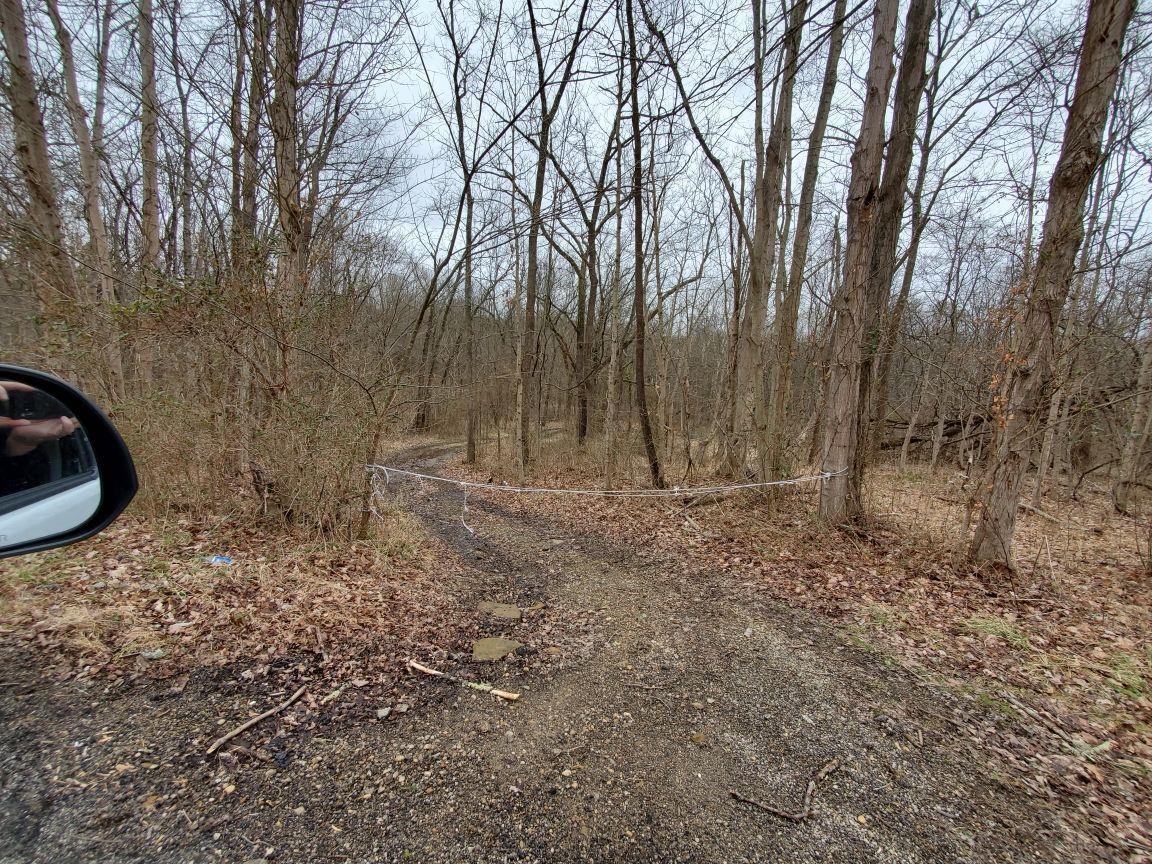 0 East Bailey Chapel Road Piketon, OH 45661 - Photo 4 of 4