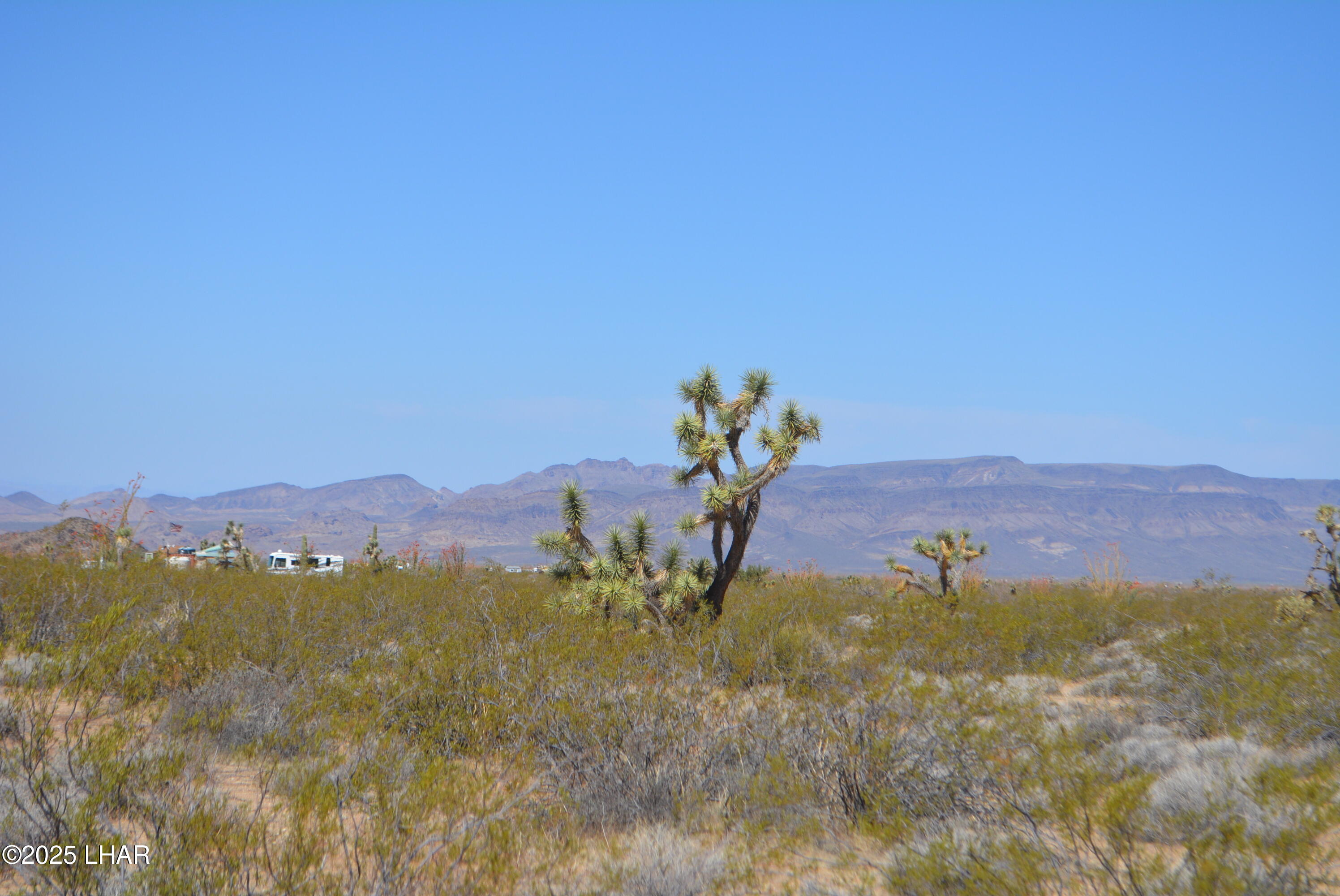 Lot P6 South A S Suzette Road Yucca, AZ 86438 - Photo 12 of 98 DSC_1547