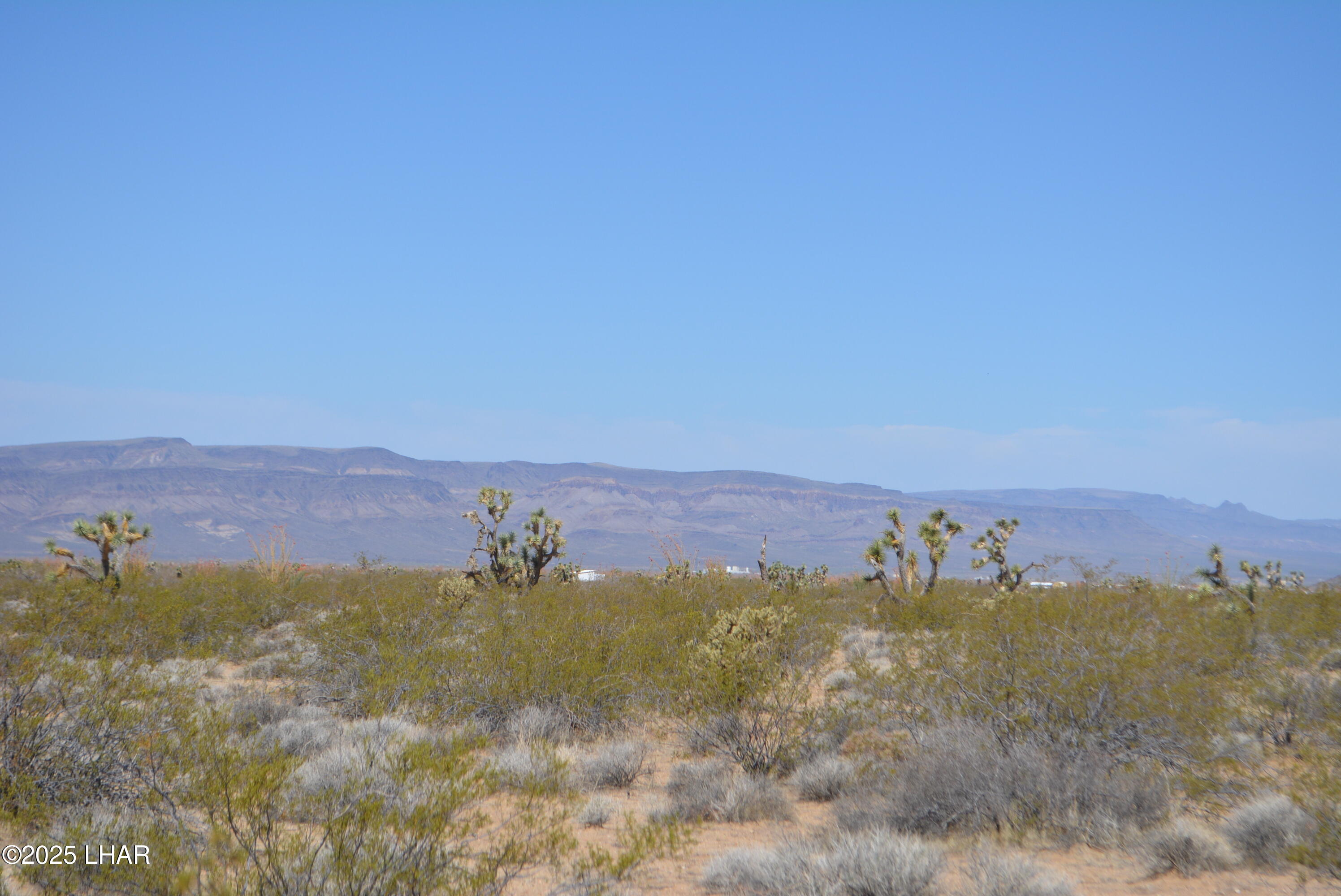 Lot P6 South A S Suzette Road Yucca, AZ 86438 - Photo 13 of 98 DSC_1548