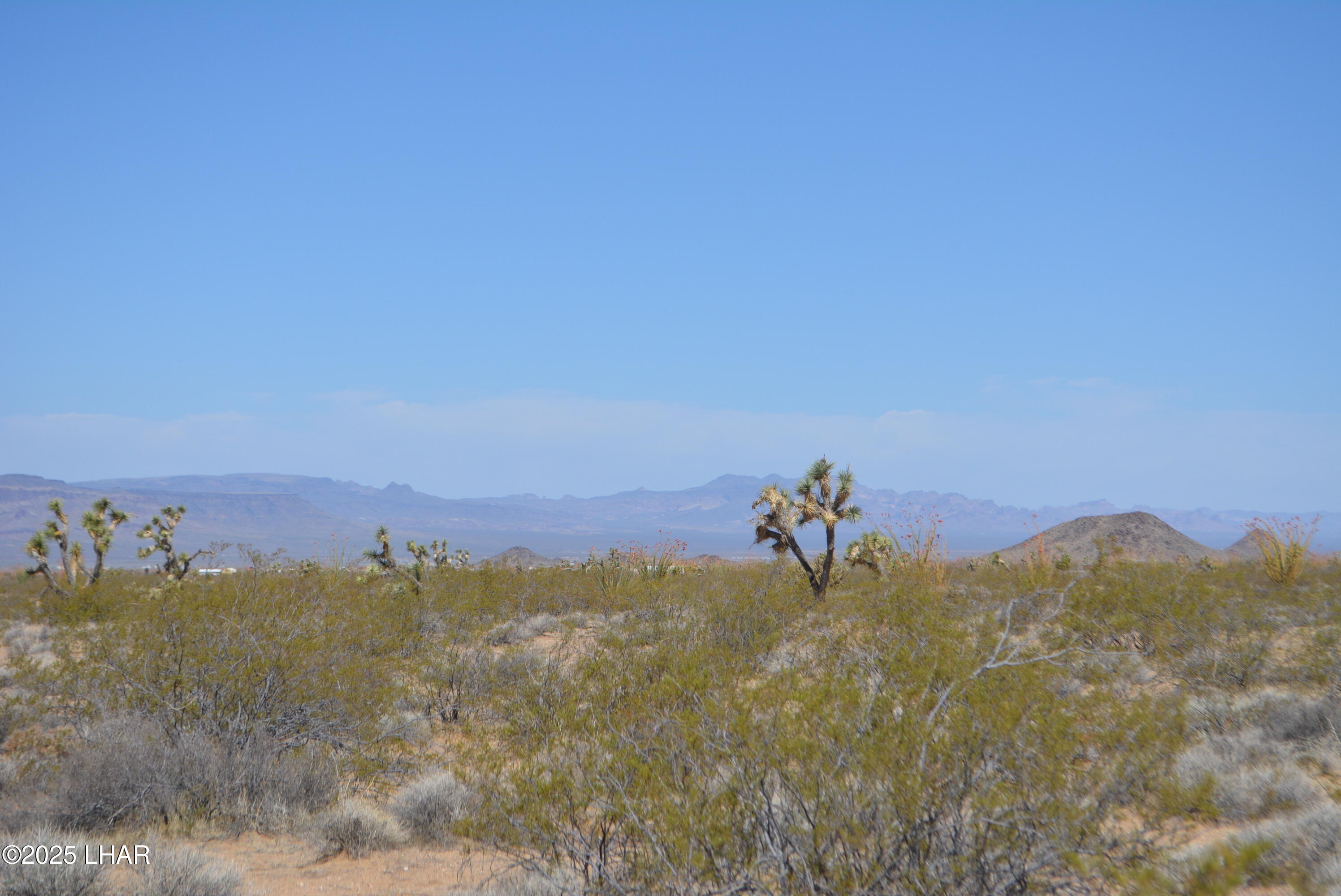 Lot P6 South A S Suzette Road Yucca, AZ 86438 - Photo 14 of 98 DSC_1549