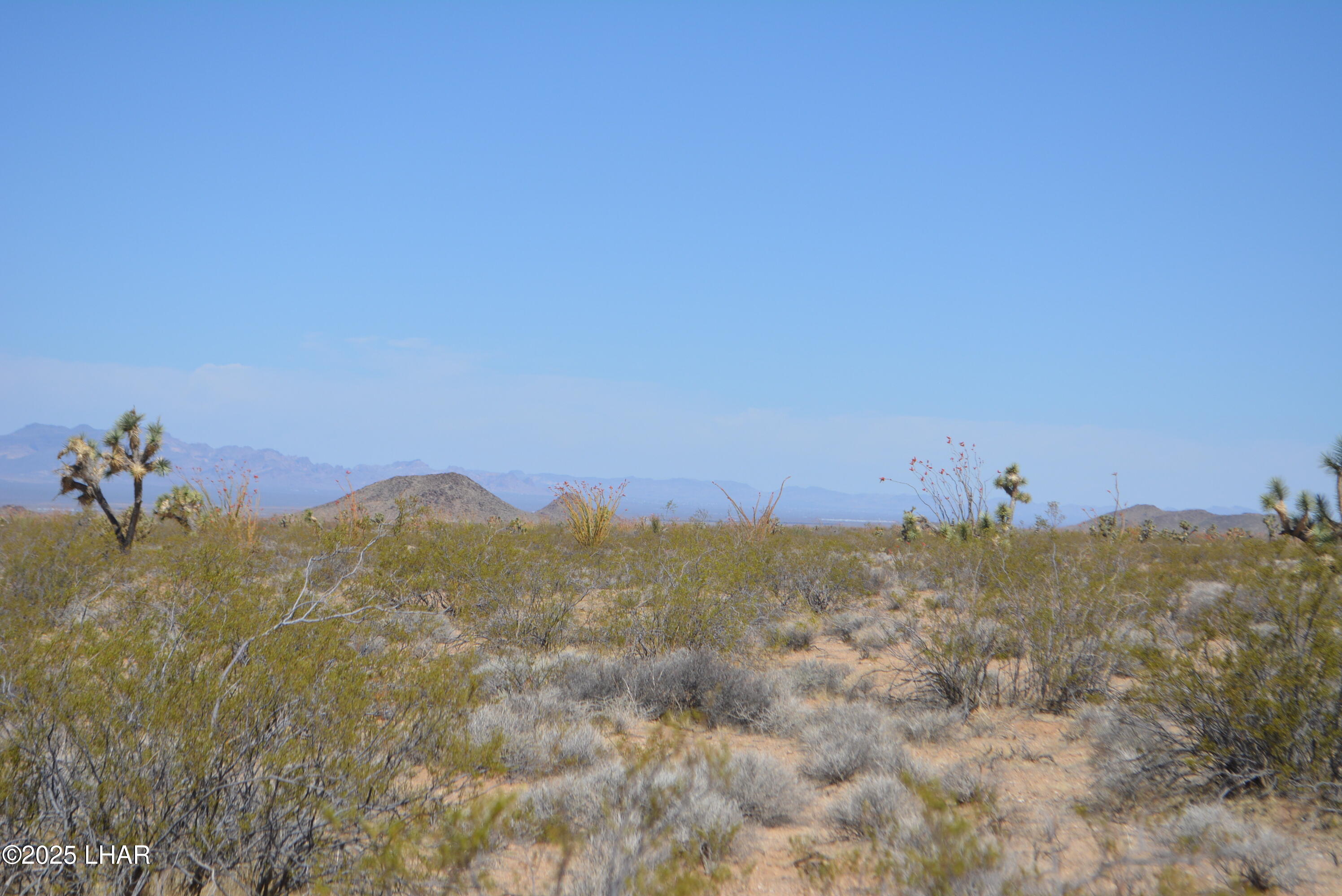 Lot P6 South A S Suzette Road Yucca, AZ 86438 - Photo 15 of 98 DSC_1550