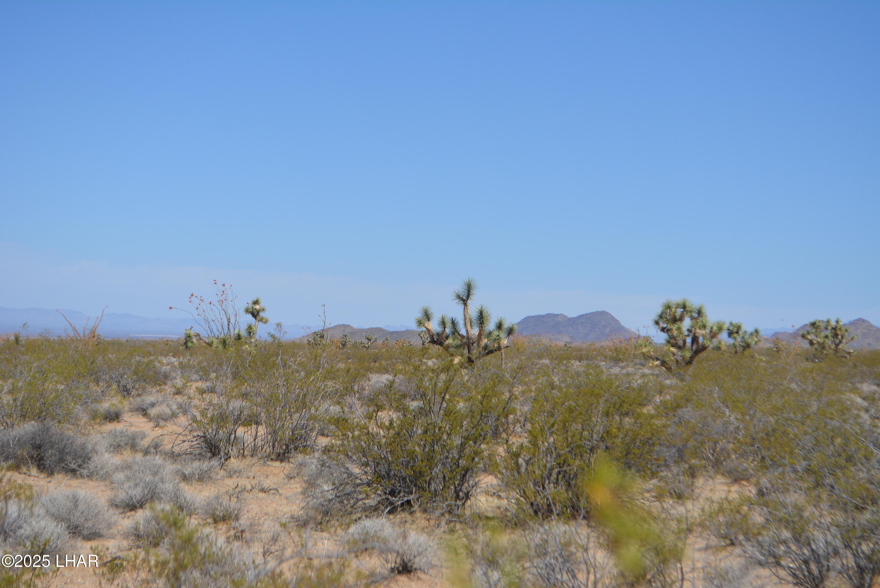 Lot P6 South A S Suzette Road Yucca, AZ 86438 - Photo 16 of 98 DSC_1551