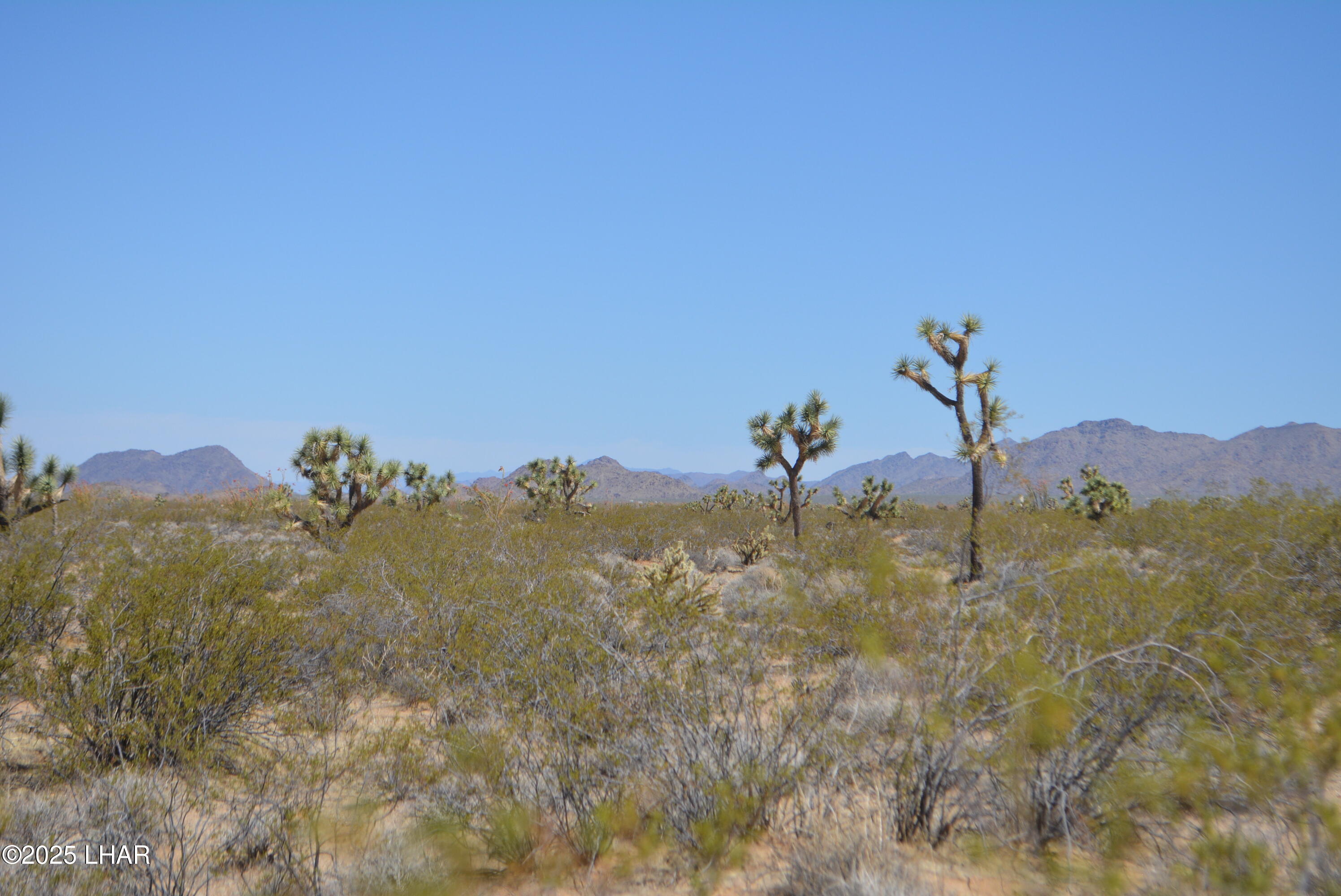 Lot P6 South A S Suzette Road Yucca, AZ 86438 - Photo 17 of 98 DSC_1552
