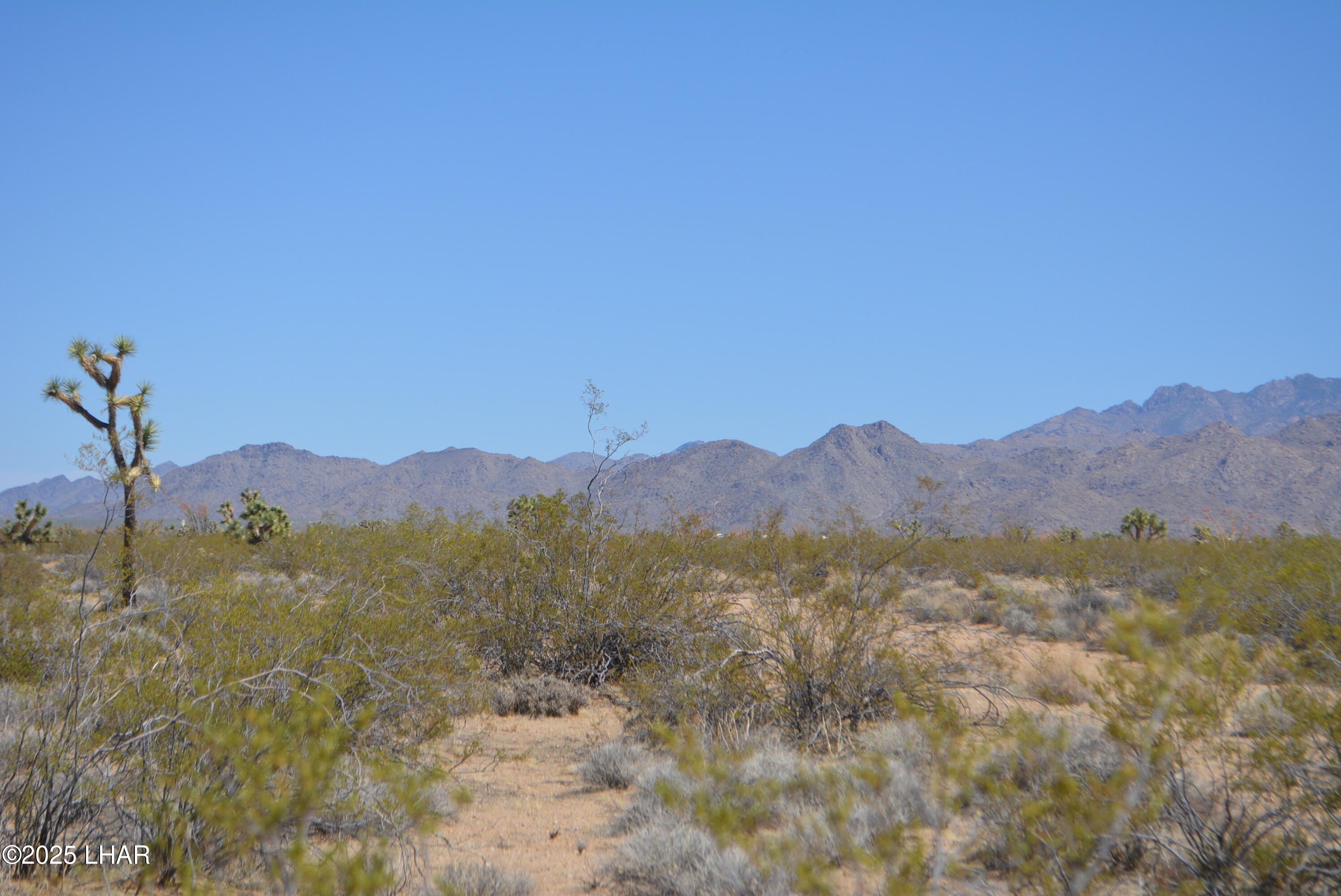 Lot P6 South A S Suzette Road Yucca, AZ 86438 - Photo 18 of 98 DSC_1553