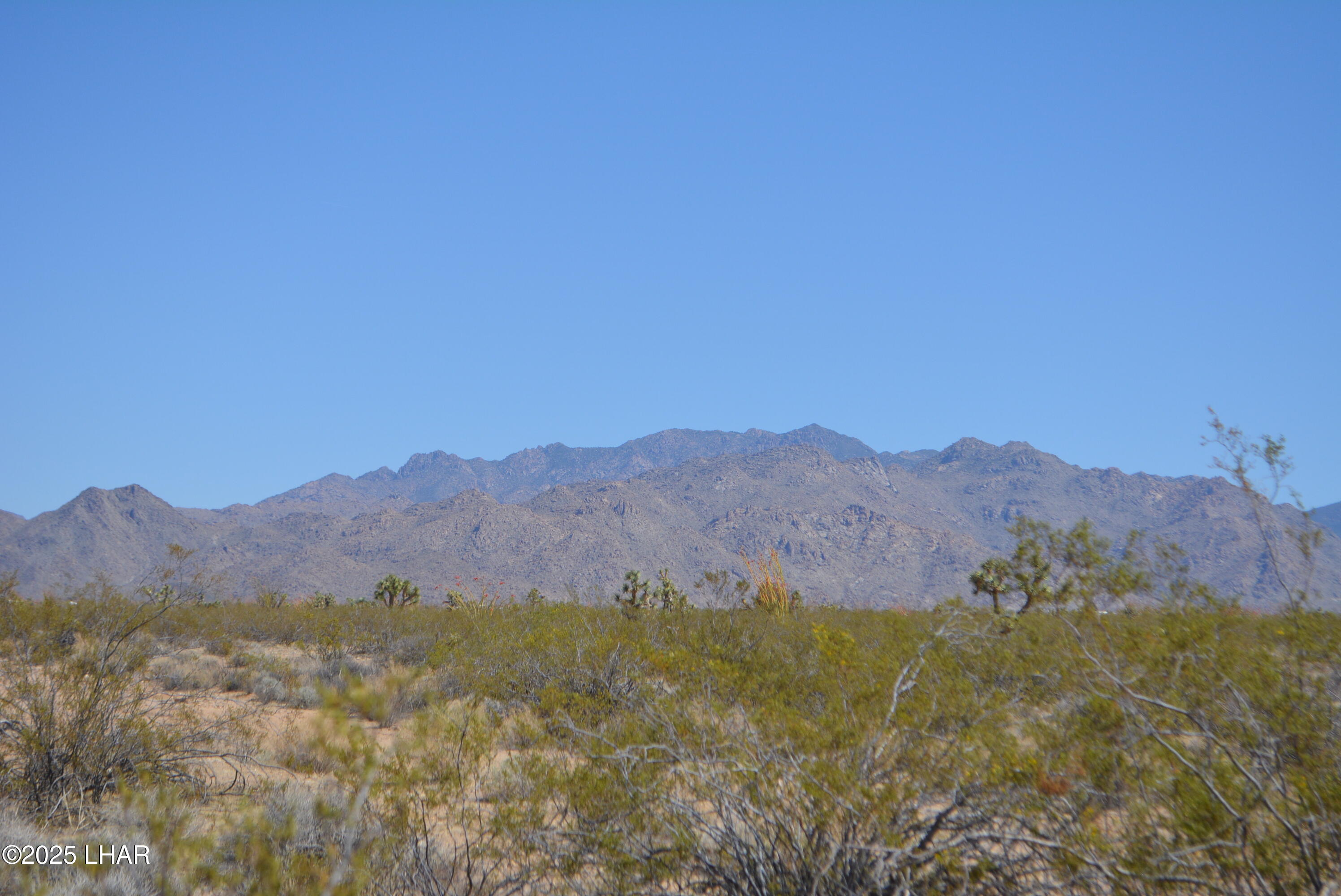 Lot P6 South A S Suzette Road Yucca, AZ 86438 - Photo 19 of 98 DSC_1554