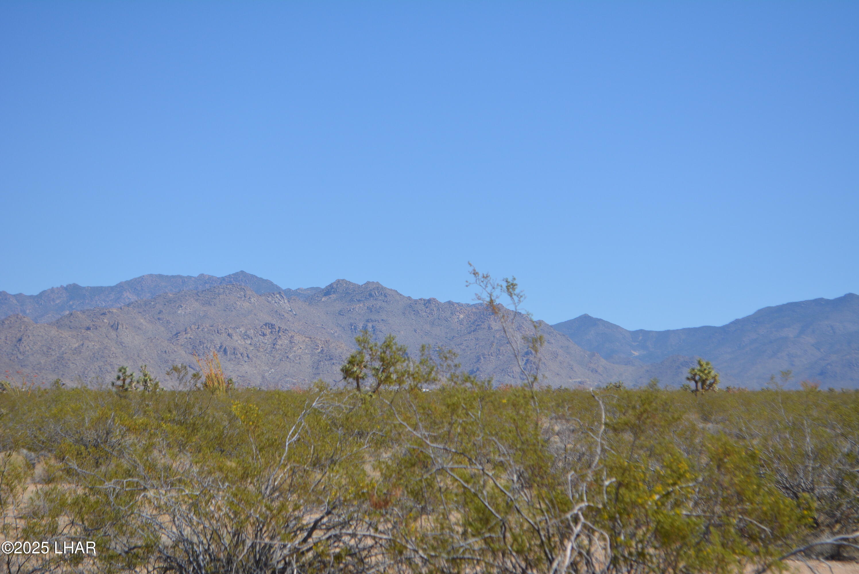 Lot P6 South A S Suzette Road Yucca, AZ 86438 - Photo 20 of 98 DSC_1555