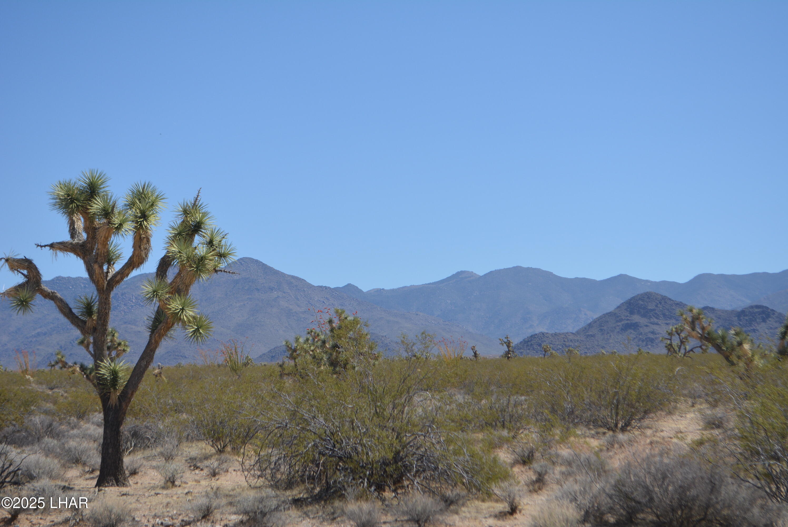 Lot P6 South A S Suzette Road Yucca, AZ 86438 - Photo 21 of 98 DSC_1556
