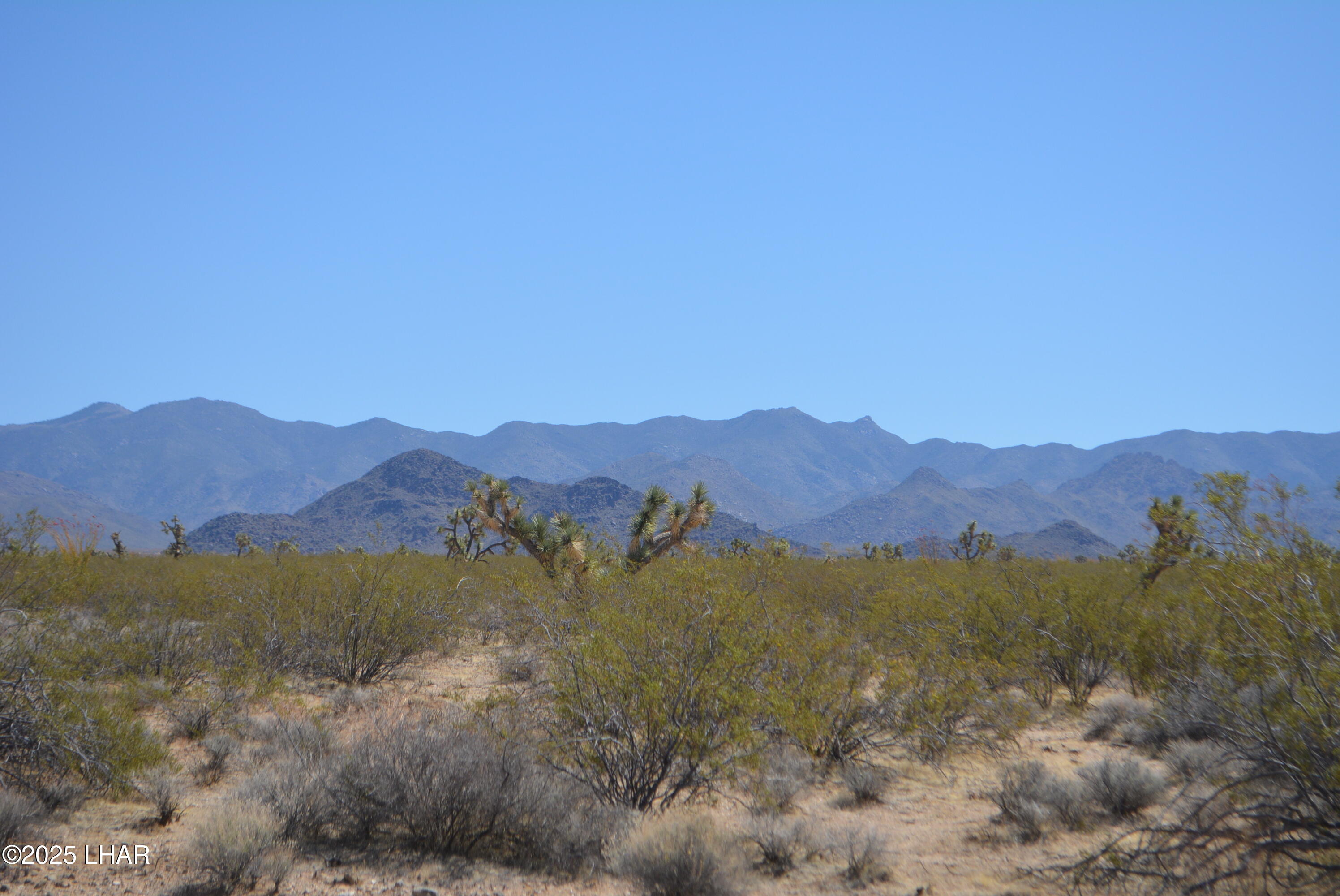 Lot P6 South A S Suzette Road Yucca, AZ 86438 - Photo 22 of 98 DSC_1557