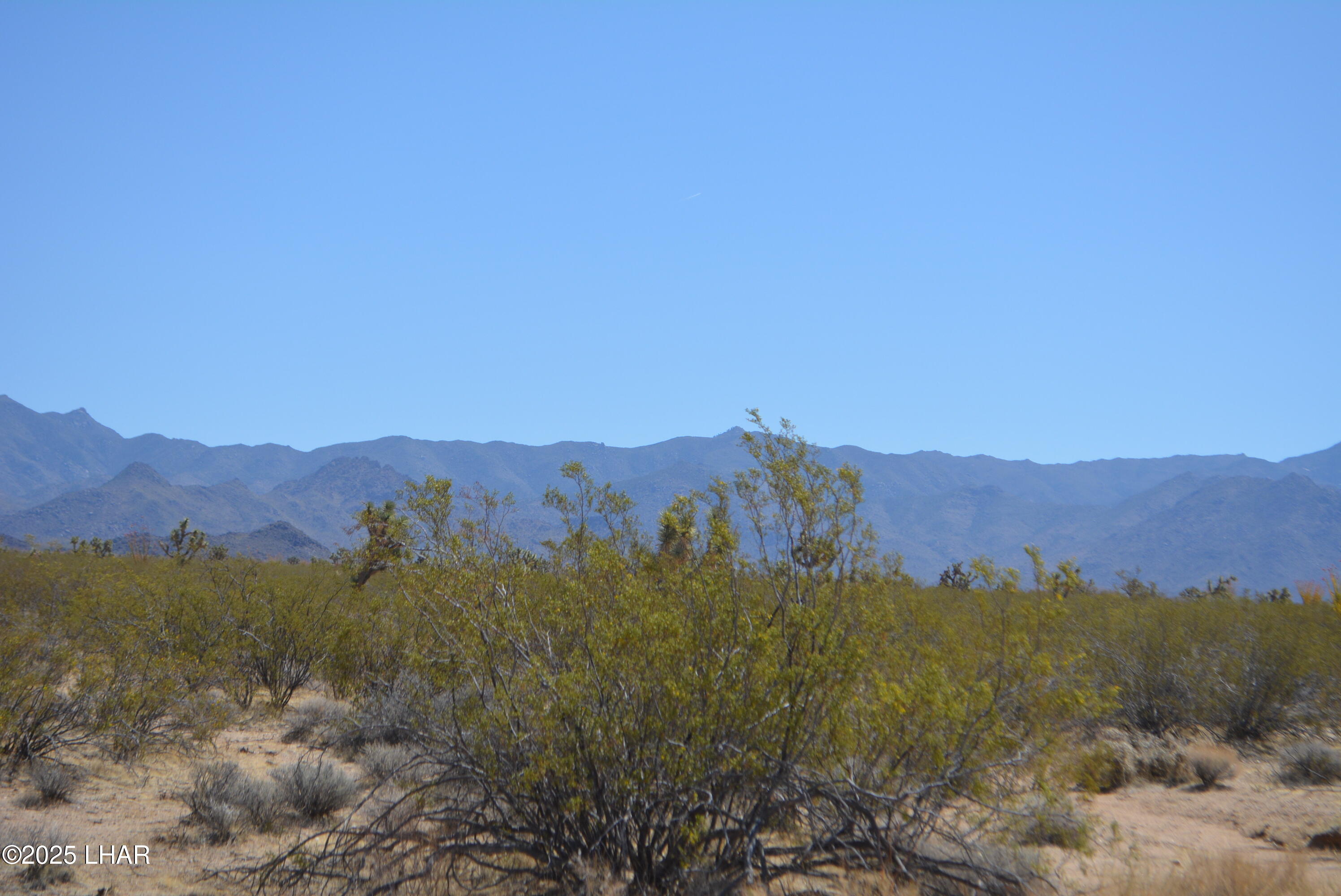 Lot P6 South A S Suzette Road Yucca, AZ 86438 - Photo 23 of 98 DSC_1558