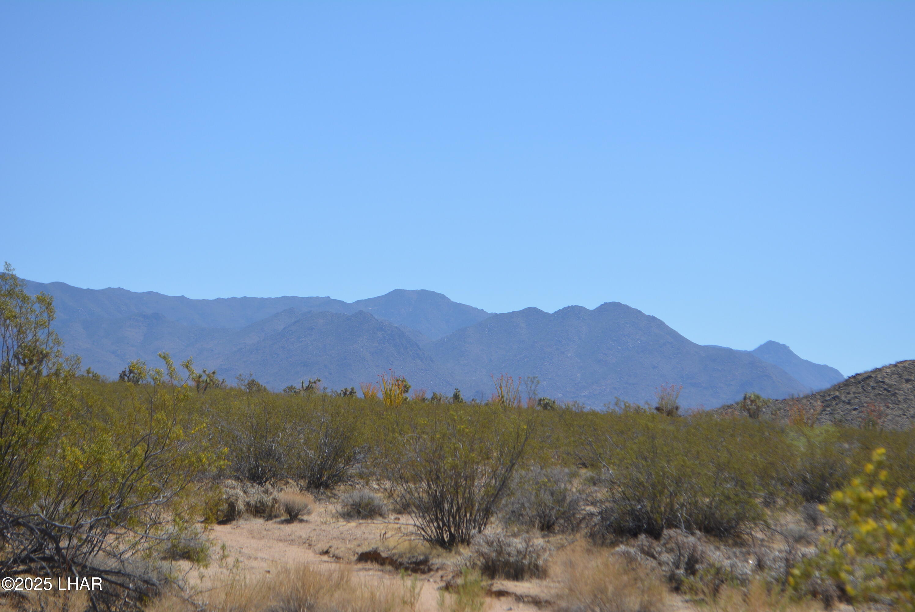 Lot P6 South A S Suzette Road Yucca, AZ 86438 - Photo 24 of 98 DSC_1559