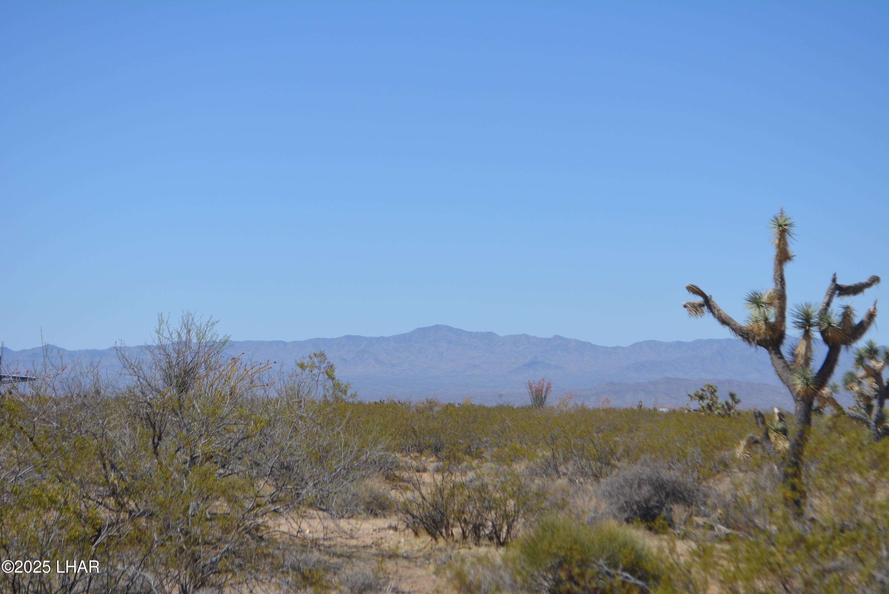 Lot P6 South A S Suzette Road Yucca, AZ 86438 - Photo 26 of 98 DSC_1561