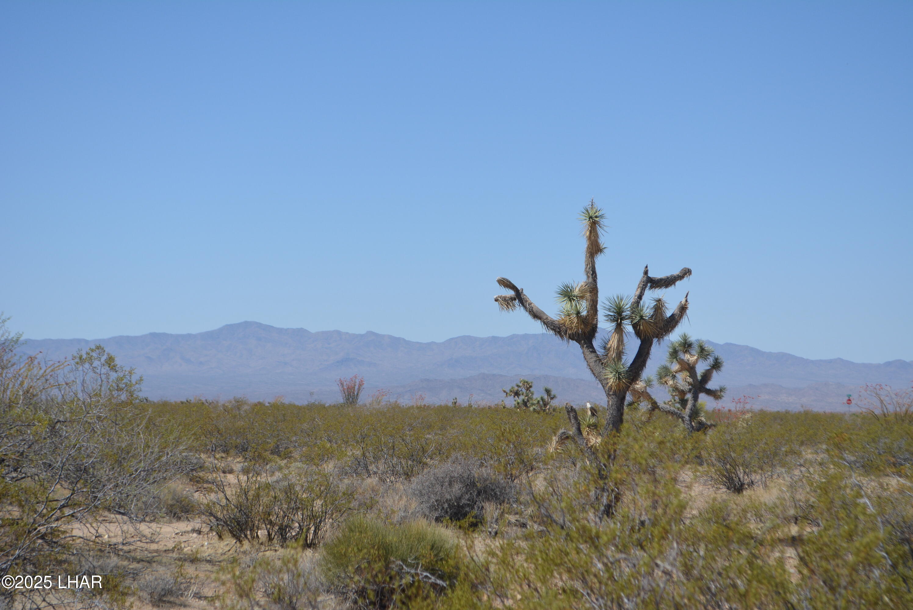 Lot P6 South A S Suzette Road Yucca, AZ 86438 - Photo 27 of 98 DSC_1562