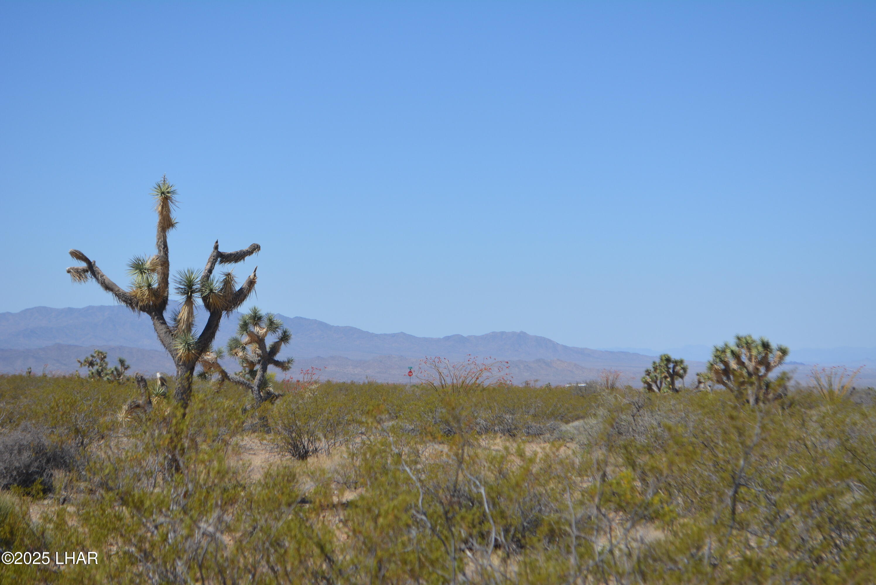 Lot P6 South A S Suzette Road Yucca, AZ 86438 - Photo 28 of 98 DSC_1563