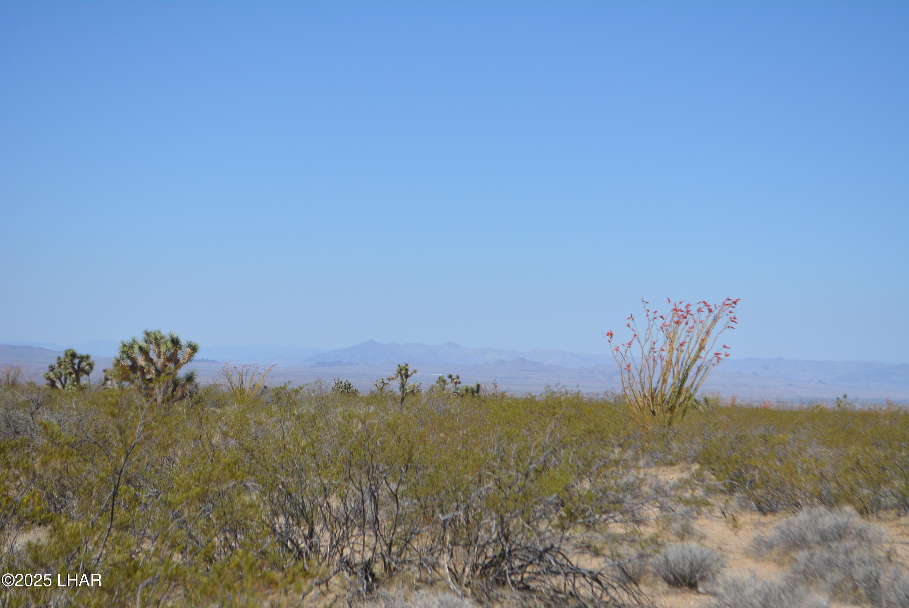 Lot P6 South A S Suzette Road Yucca, AZ 86438 - Photo 29 of 98 DSC_1564