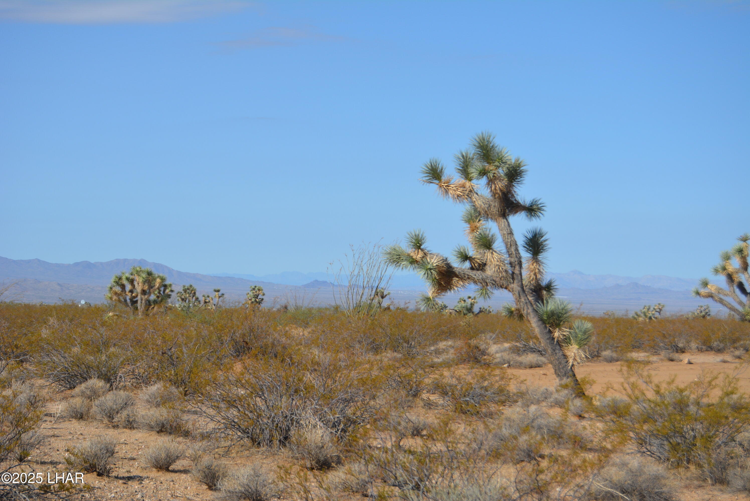 Lot P6 South A S Suzette Road Yucca, AZ 86438 - Photo 3 of 98 DSC_0374